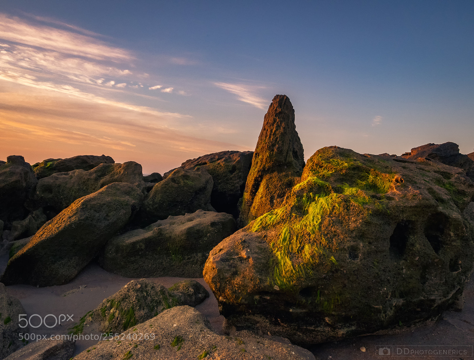 Olympus OM-D E-M1 sample photo. Green moss in rocks photography