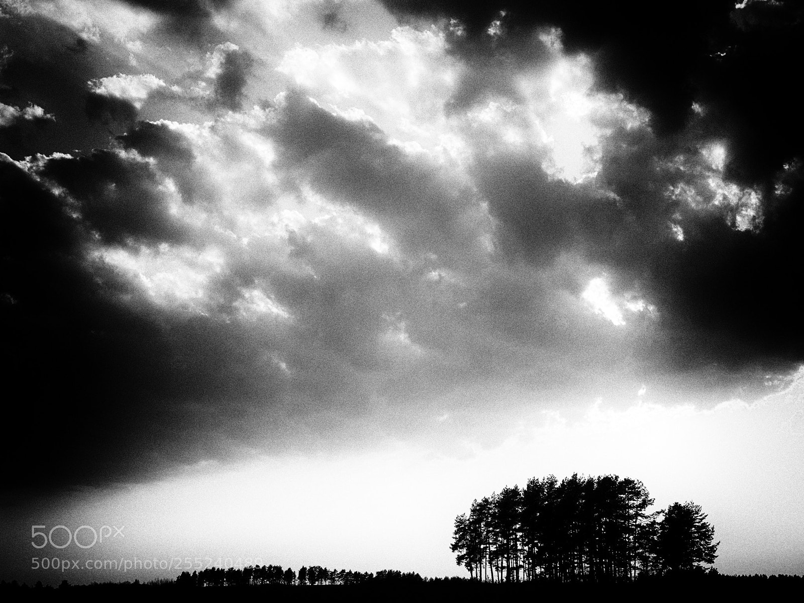 Olympus OM-D E-M5 II sample photo. Forest and clouds photography