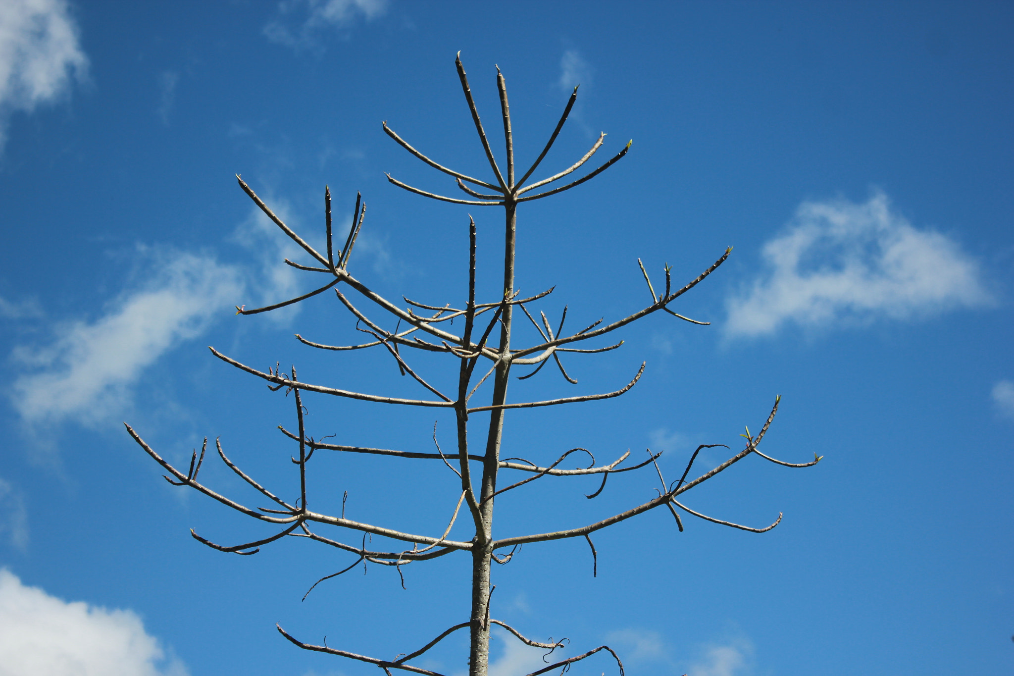 Canon EOS 550D (EOS Rebel T2i / EOS Kiss X4) sample photo. Sky colombia photography