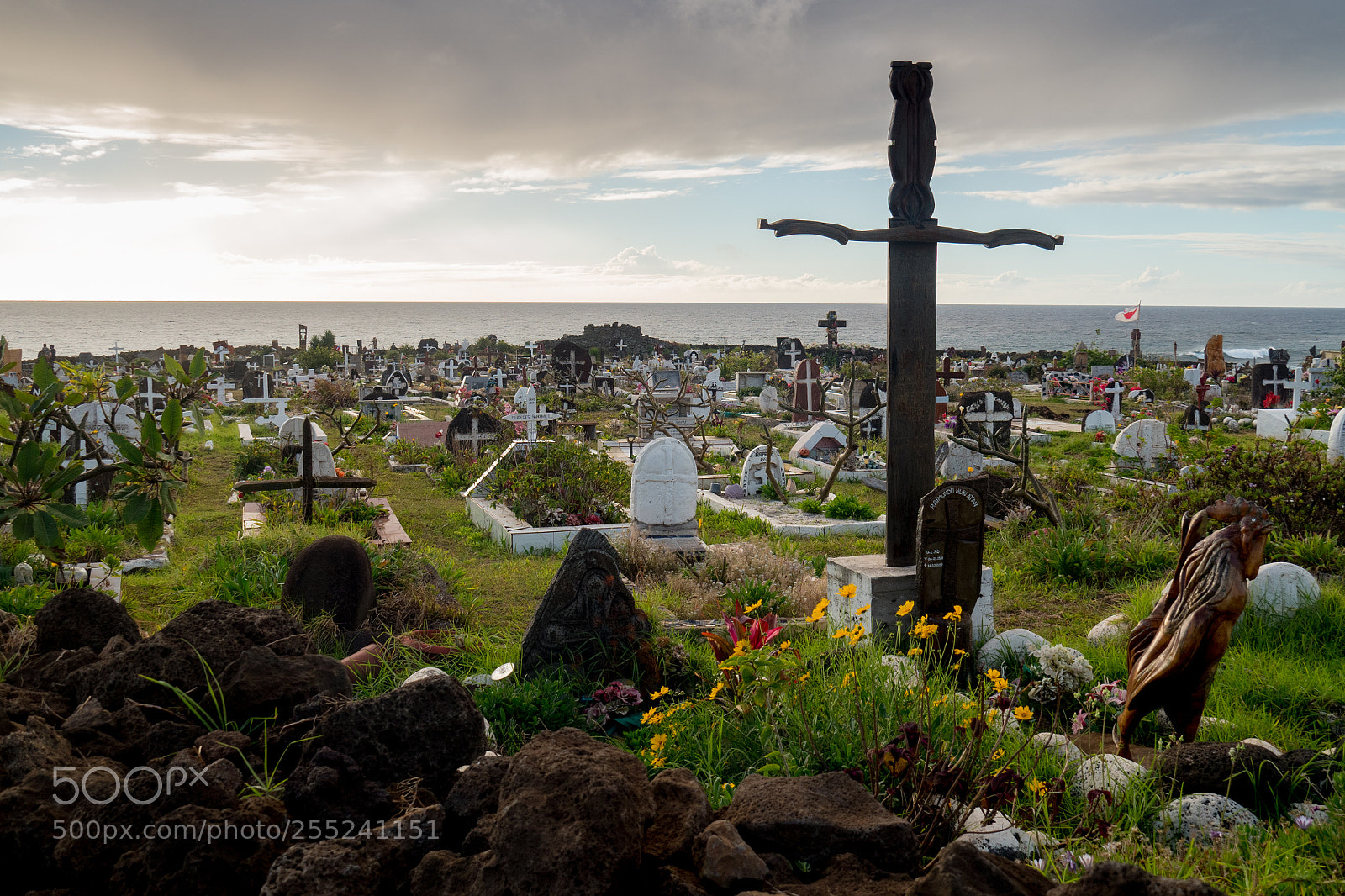 Olympus OM-D E-M5 II sample photo. Hanga roa cemetary photography