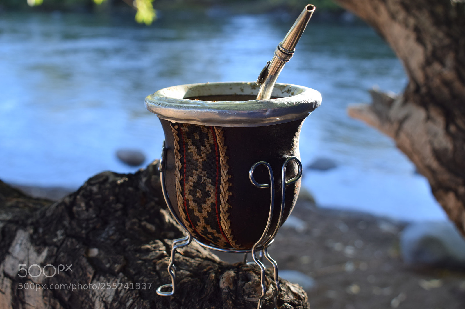 Nikon D3300 sample photo. Primera photography