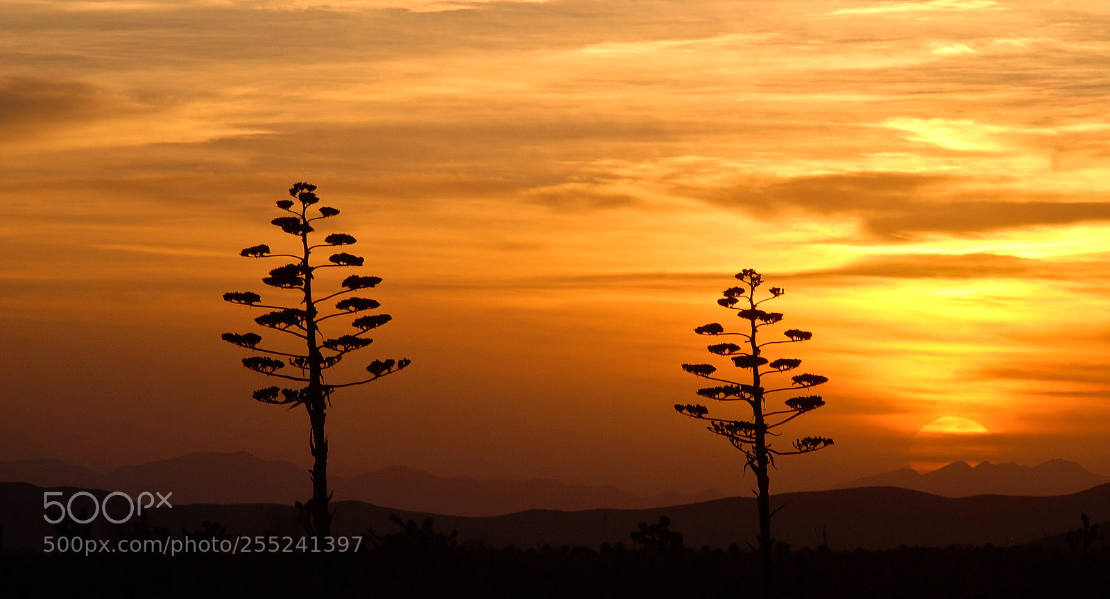 Nikon D80 sample photo. Sunset photography