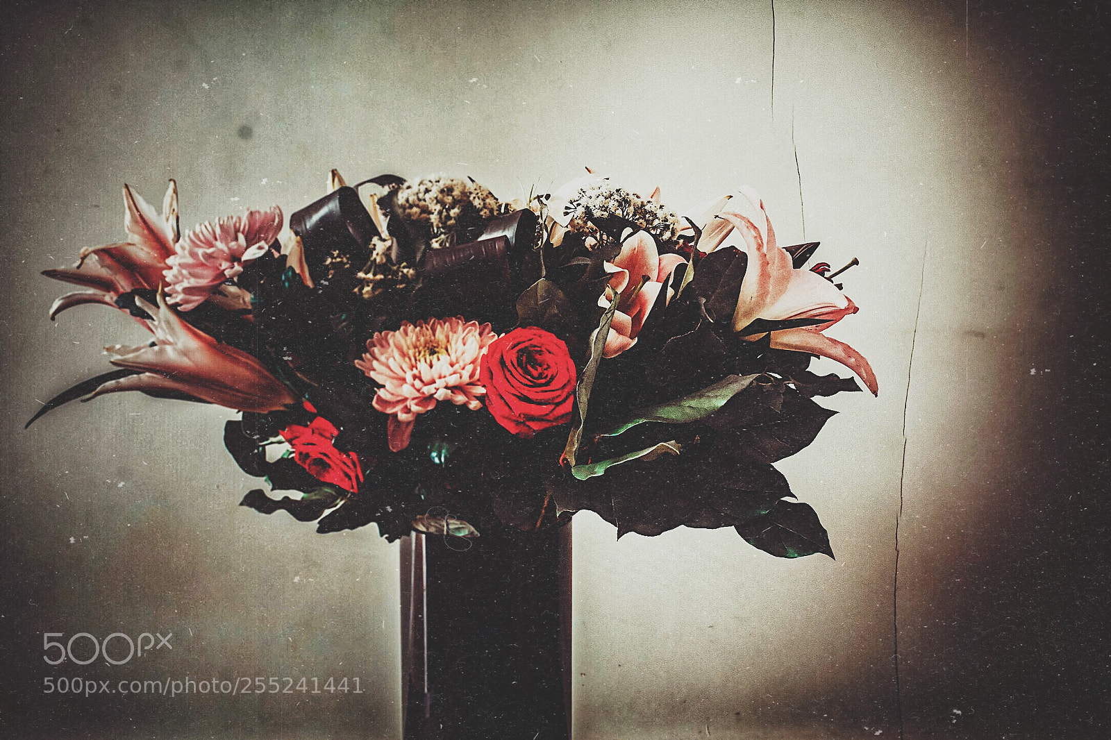 Nikon D7200 sample photo. Untitled photography