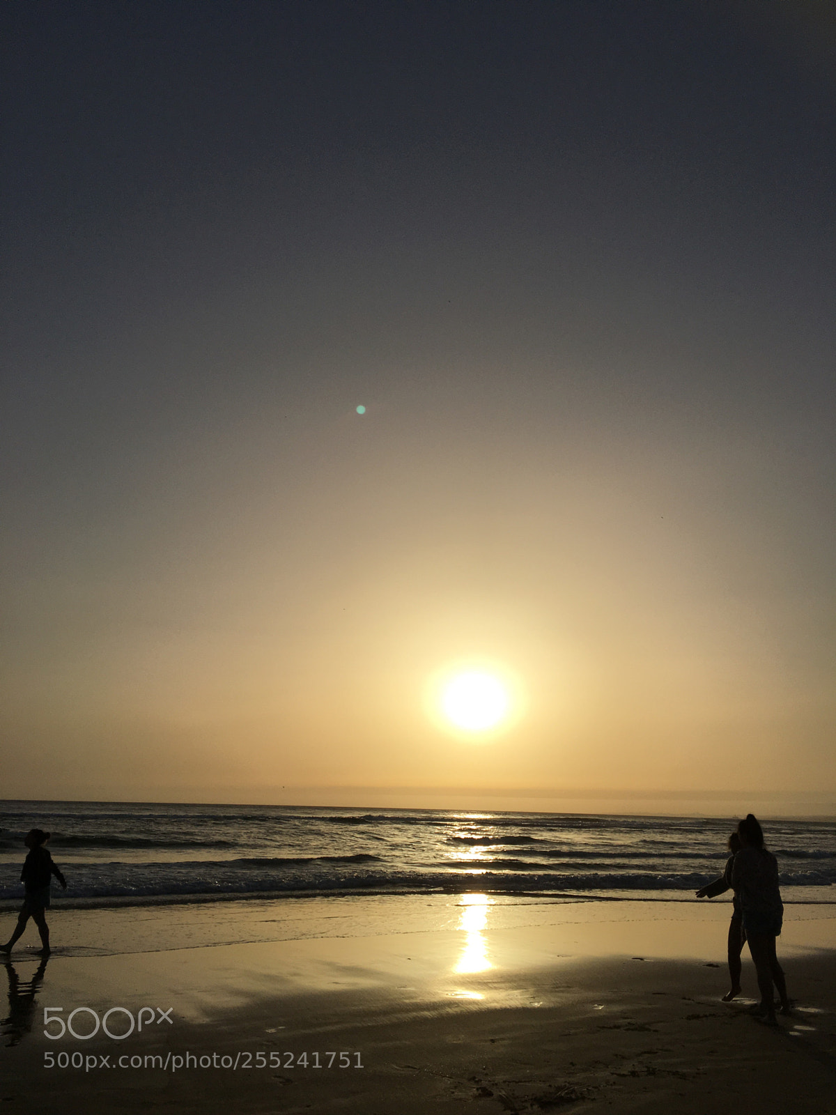 Apple iPhone 6s sample photo. Untitled photography