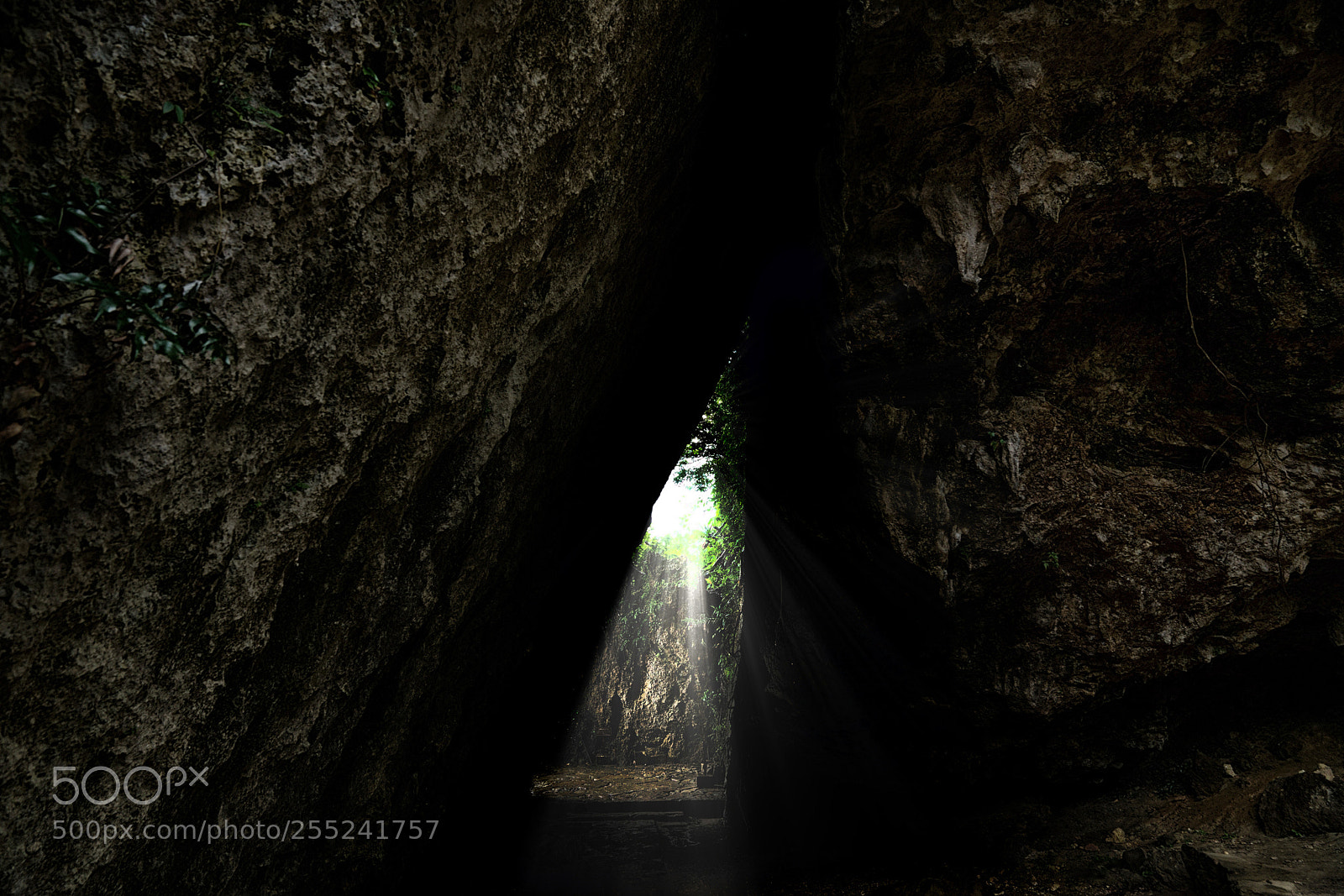 Sony a7R III sample photo. Prayer in okinawa photography