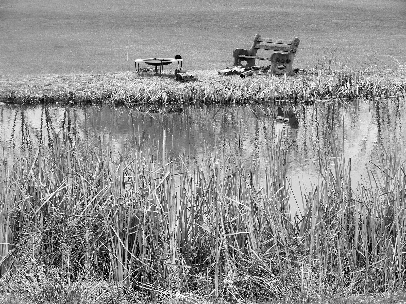 Nikon Coolpix L820 sample photo. A thinking place photography