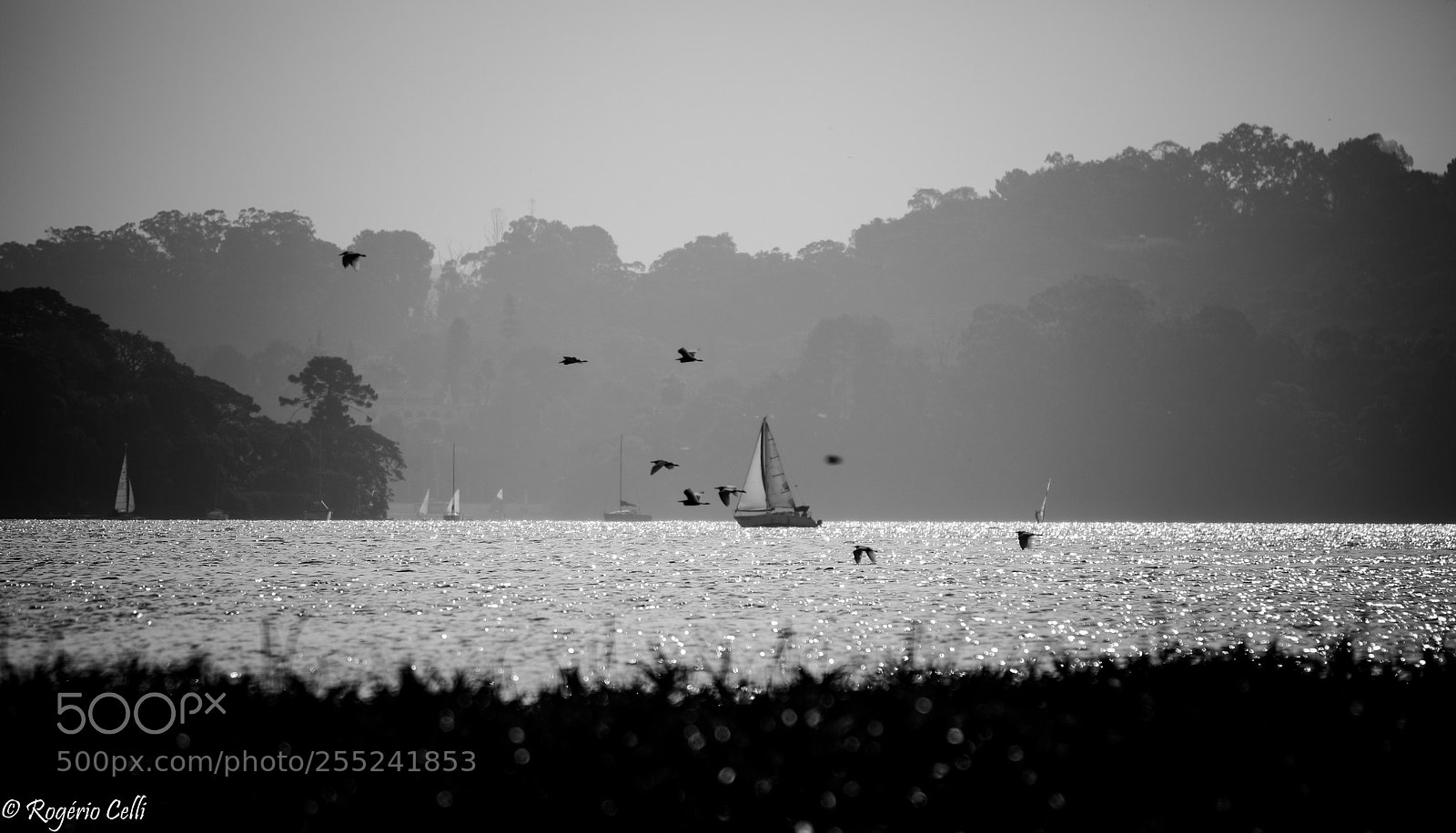 Canon EOS 5D Mark IV sample photo. Sailing ... photography