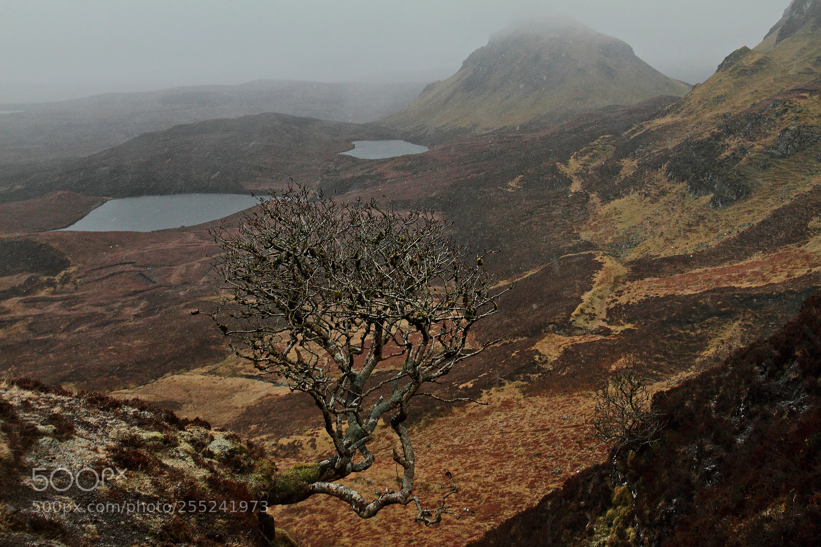 Canon EOS 7D + Canon EF 17-40mm F4L USM sample photo. Snow in the quiraing photography