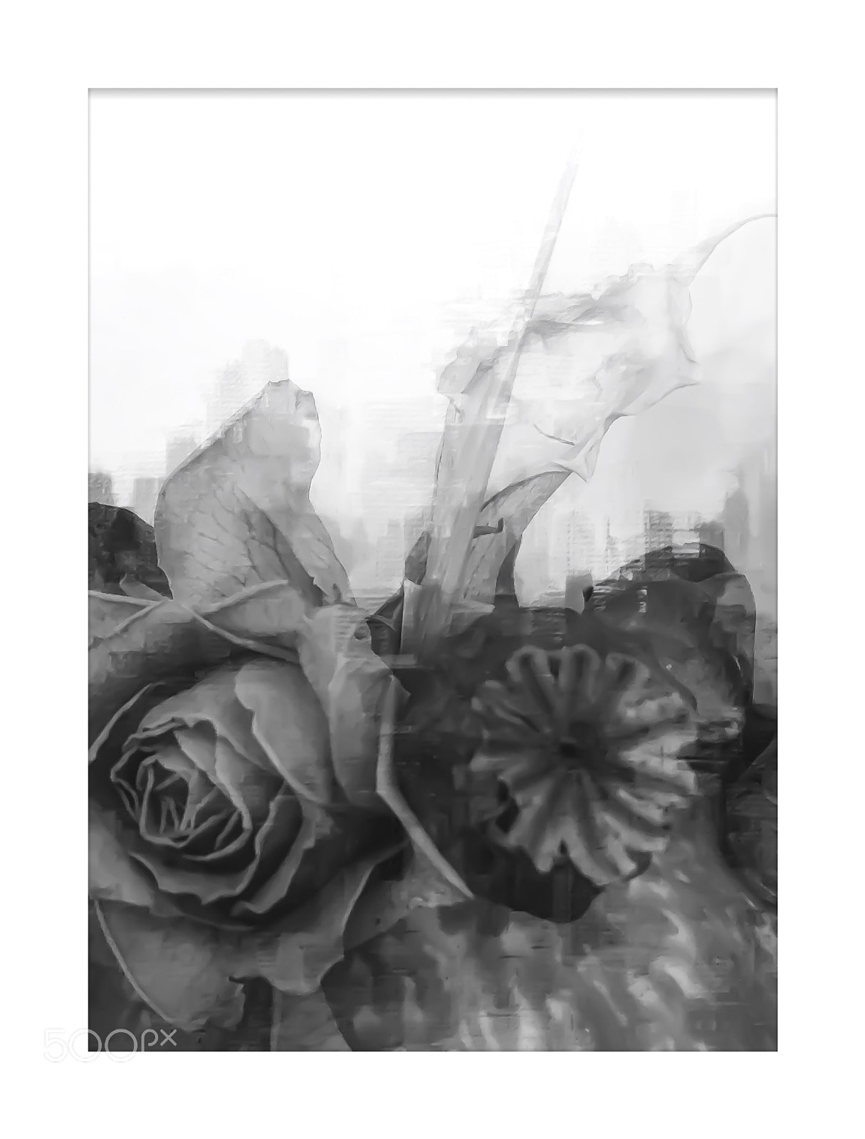 Apple iPhone X sample photo. Dullness  photography
