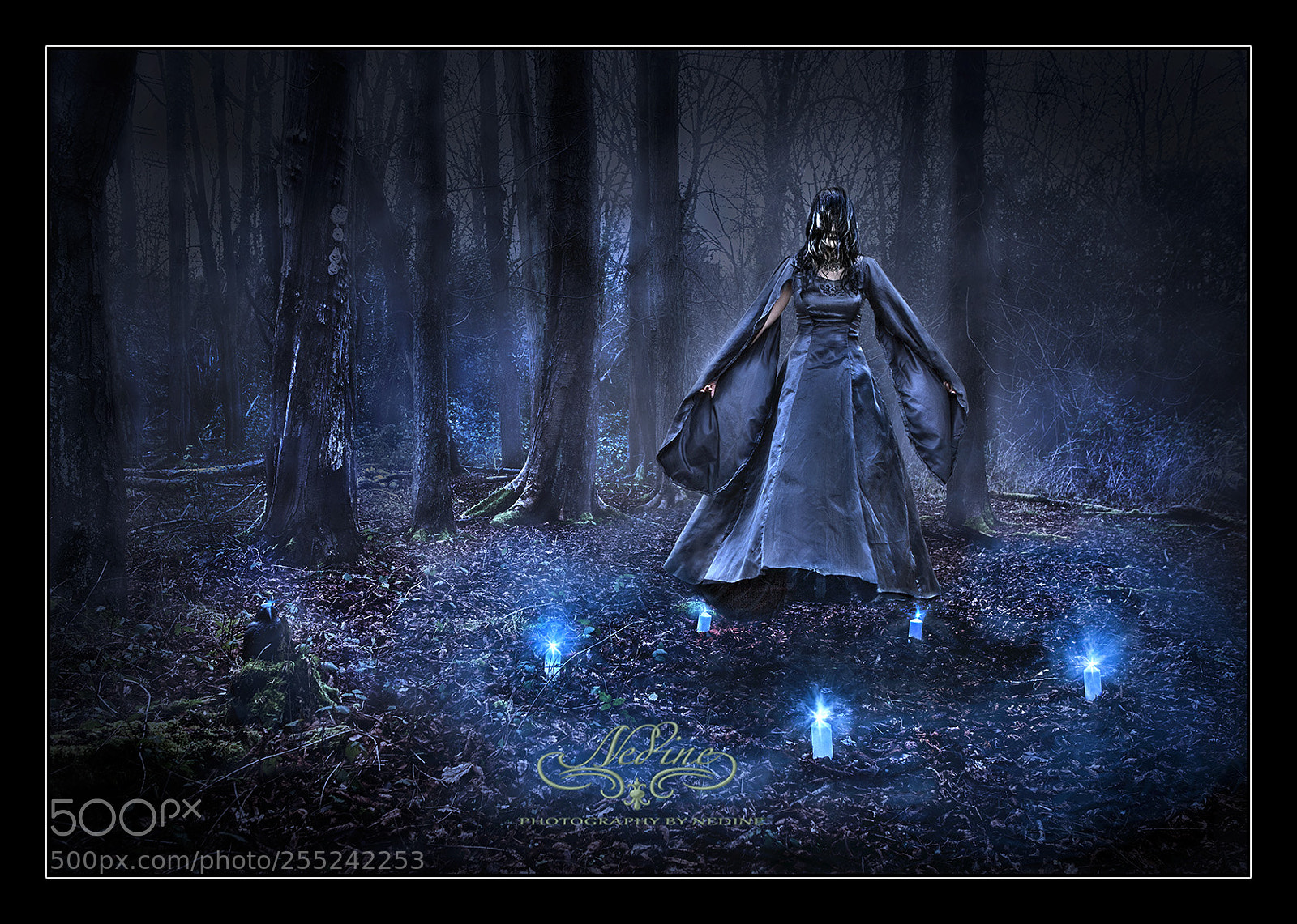 Canon EOS 5D Mark II sample photo. Something wicked photography