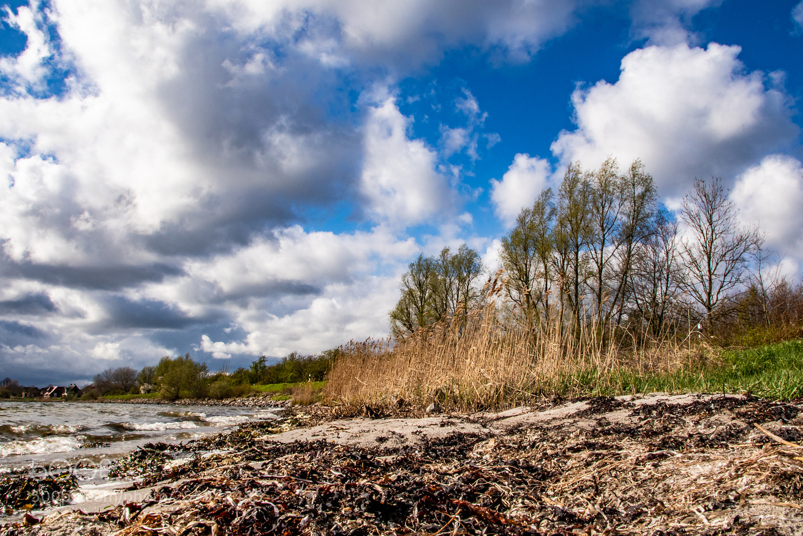 Canon EOS 77D (EOS 9000D / EOS 770D) sample photo. Homeland photography