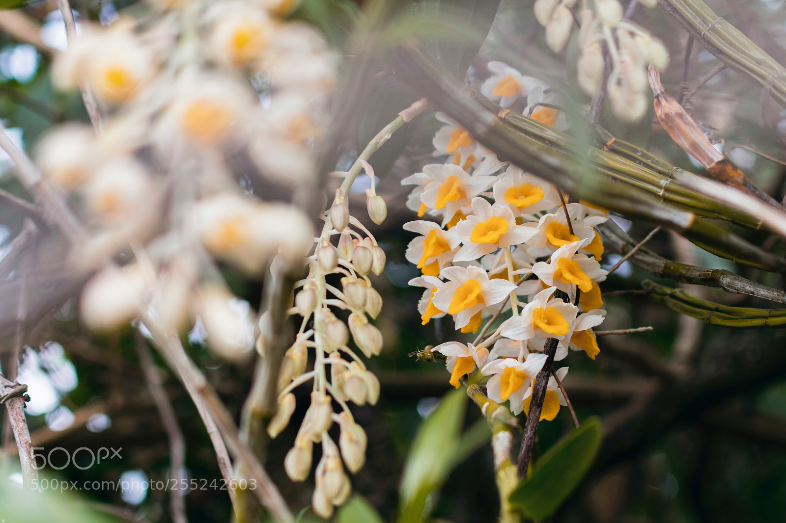 Nikon D3400 sample photo. Untitled photography
