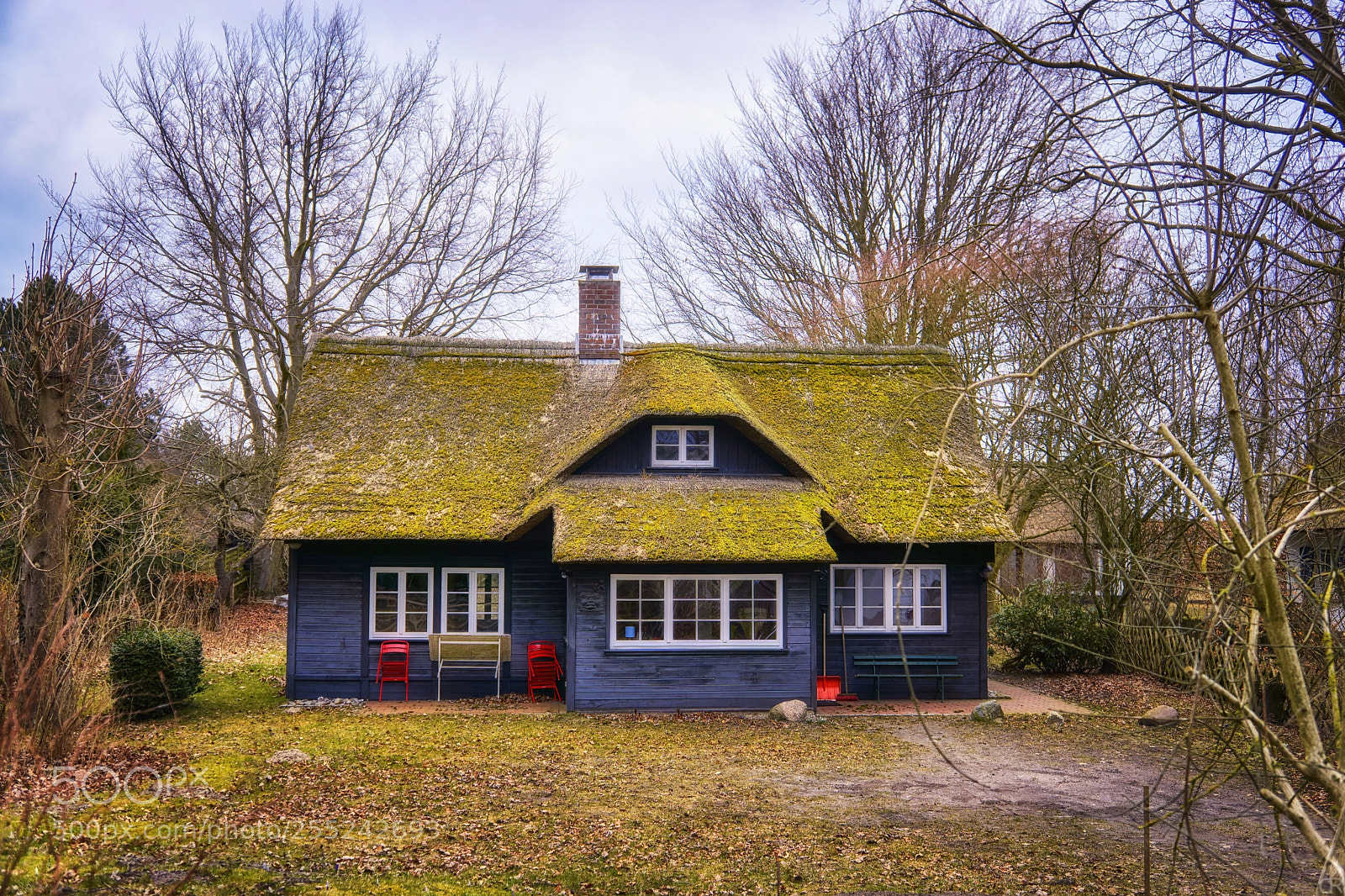 Sony a6000 sample photo. Reetdachhaus mit moos photography