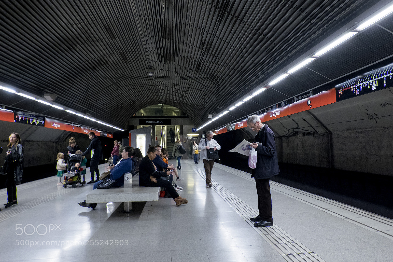 Fujifilm X-T10 sample photo. Untitled photography