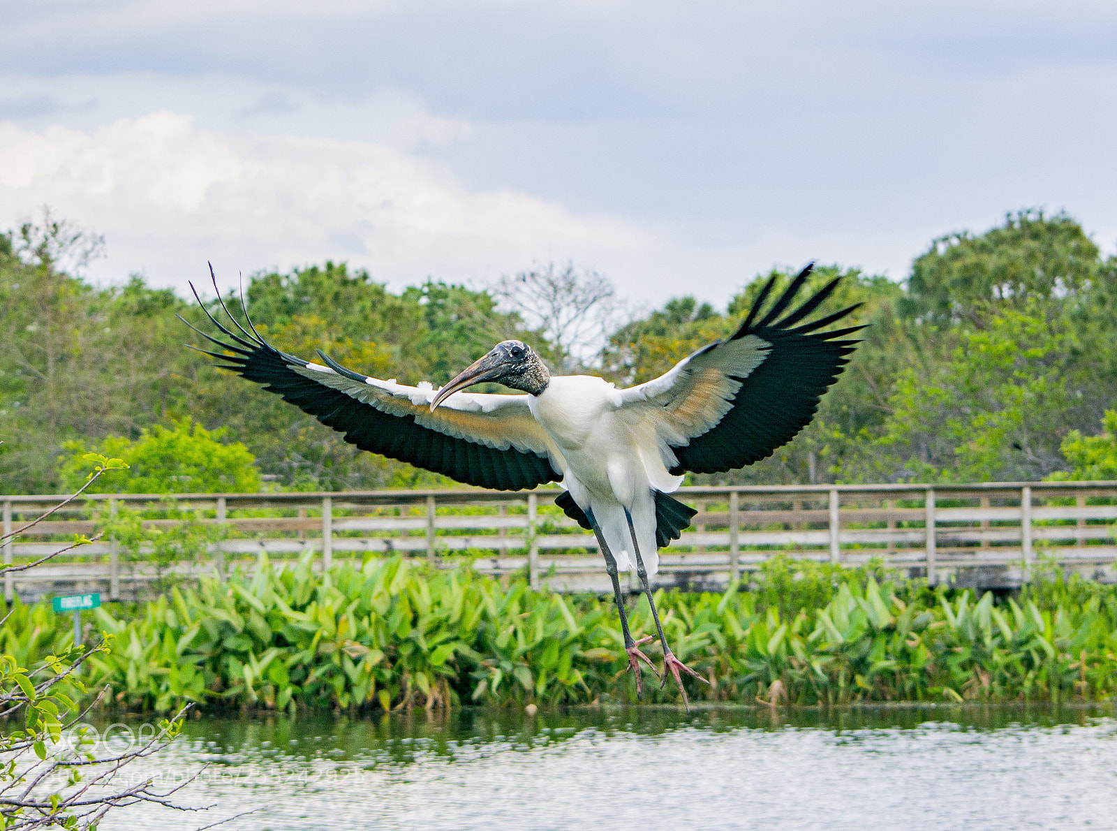 Nikon D7100 sample photo. Untitled photography
