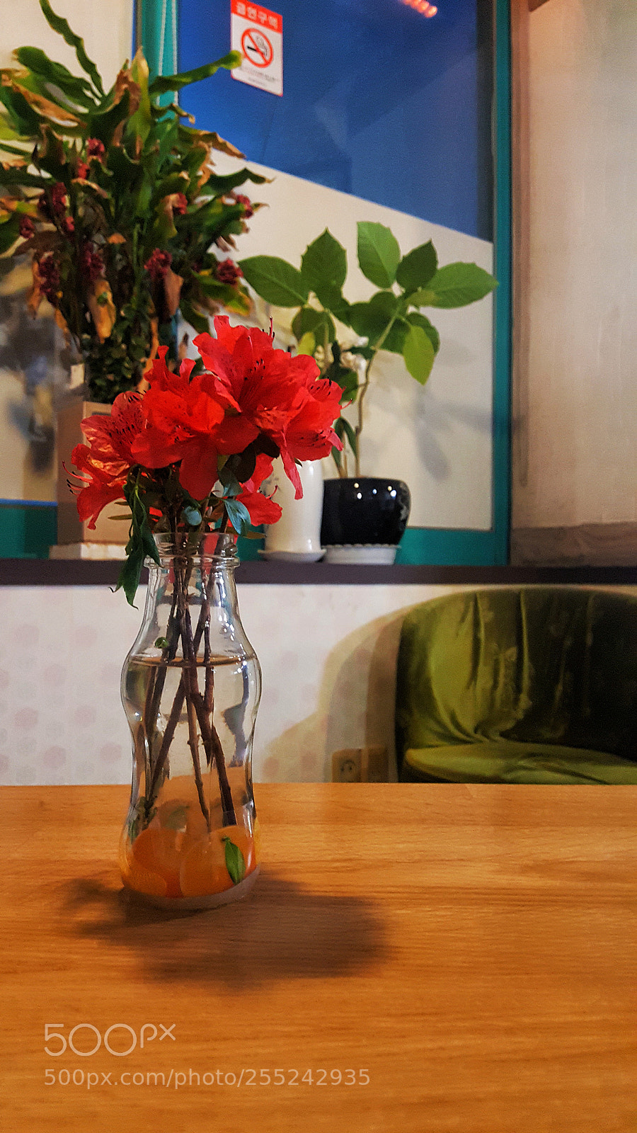 Samsung Galaxy Note5 sample photo. 꽃병 photography