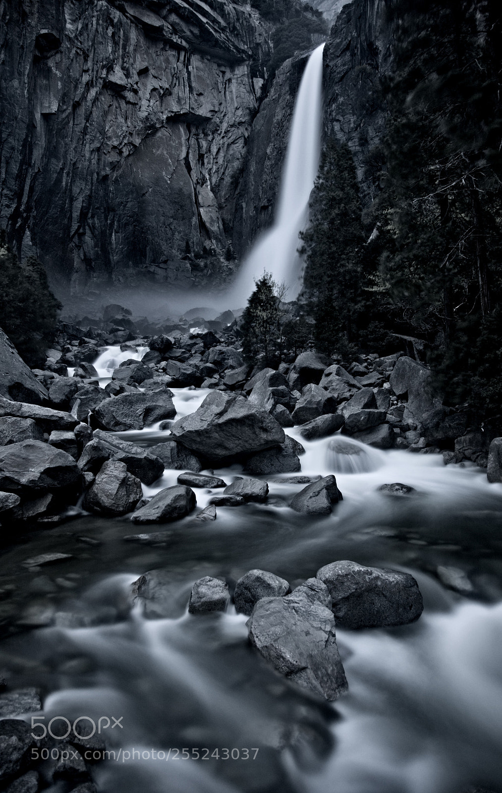 Canon EOS-1Ds Mark III sample photo. Yosemite california photography