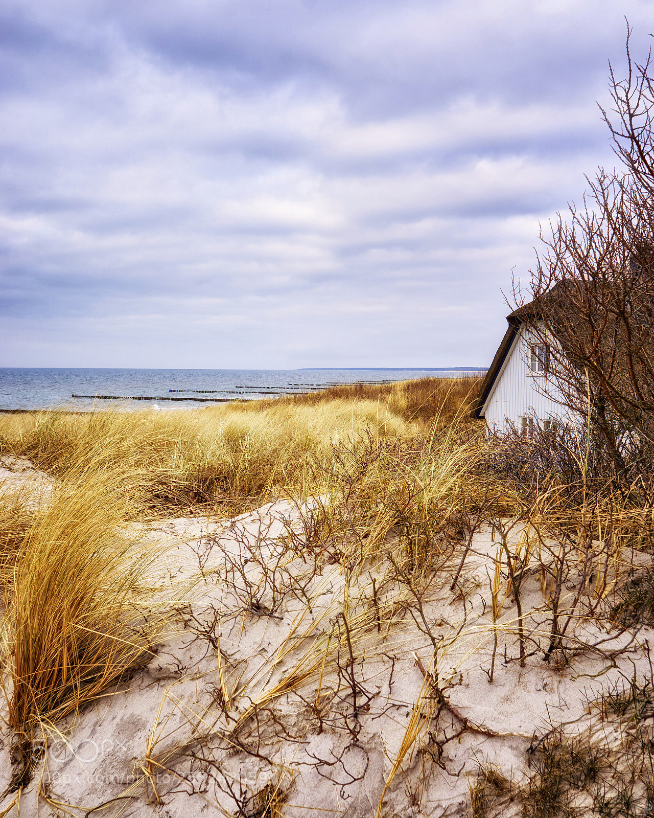 Sony a6000 sample photo. Sanddünen ahrenshoop photography