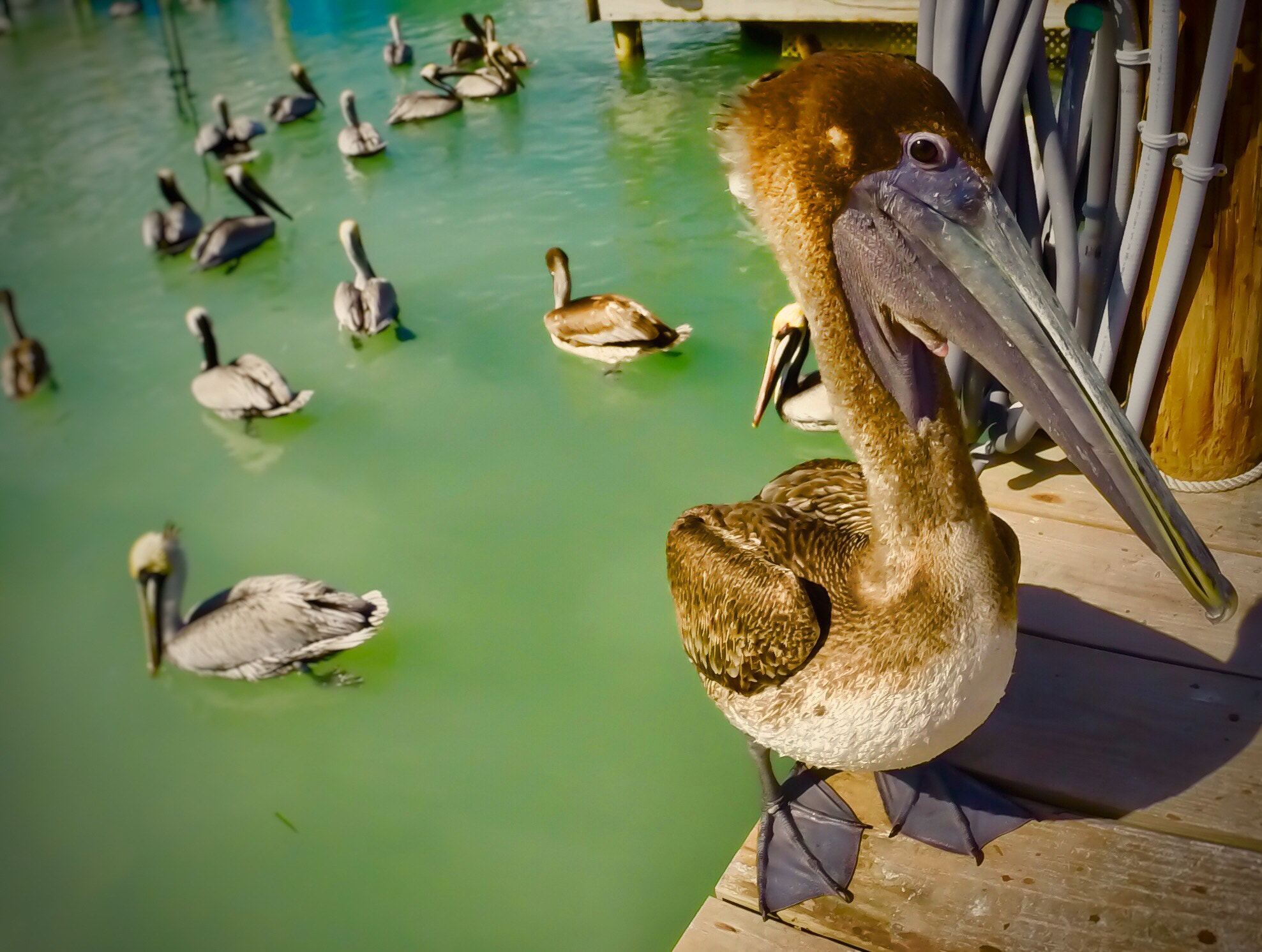 GoPro HERO3+ Black Edition sample photo