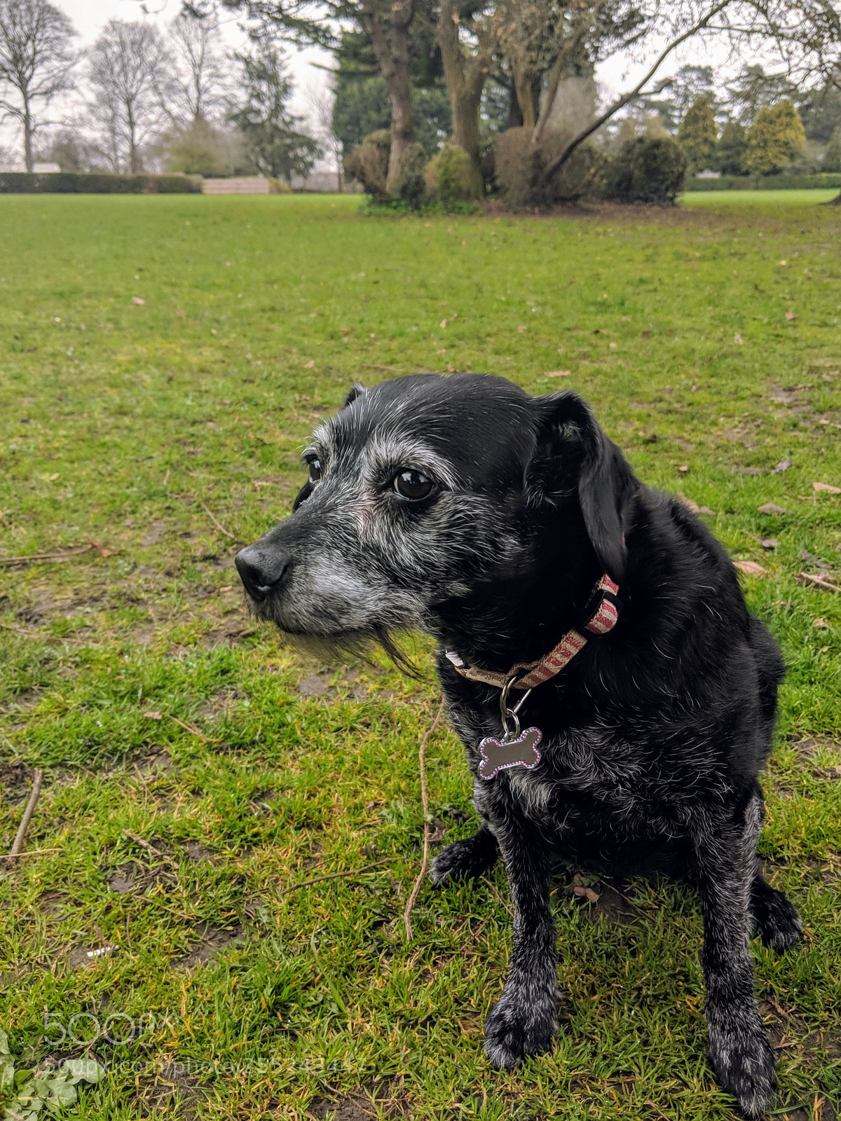 Google Pixel 2 XL sample photo. Untitled photography