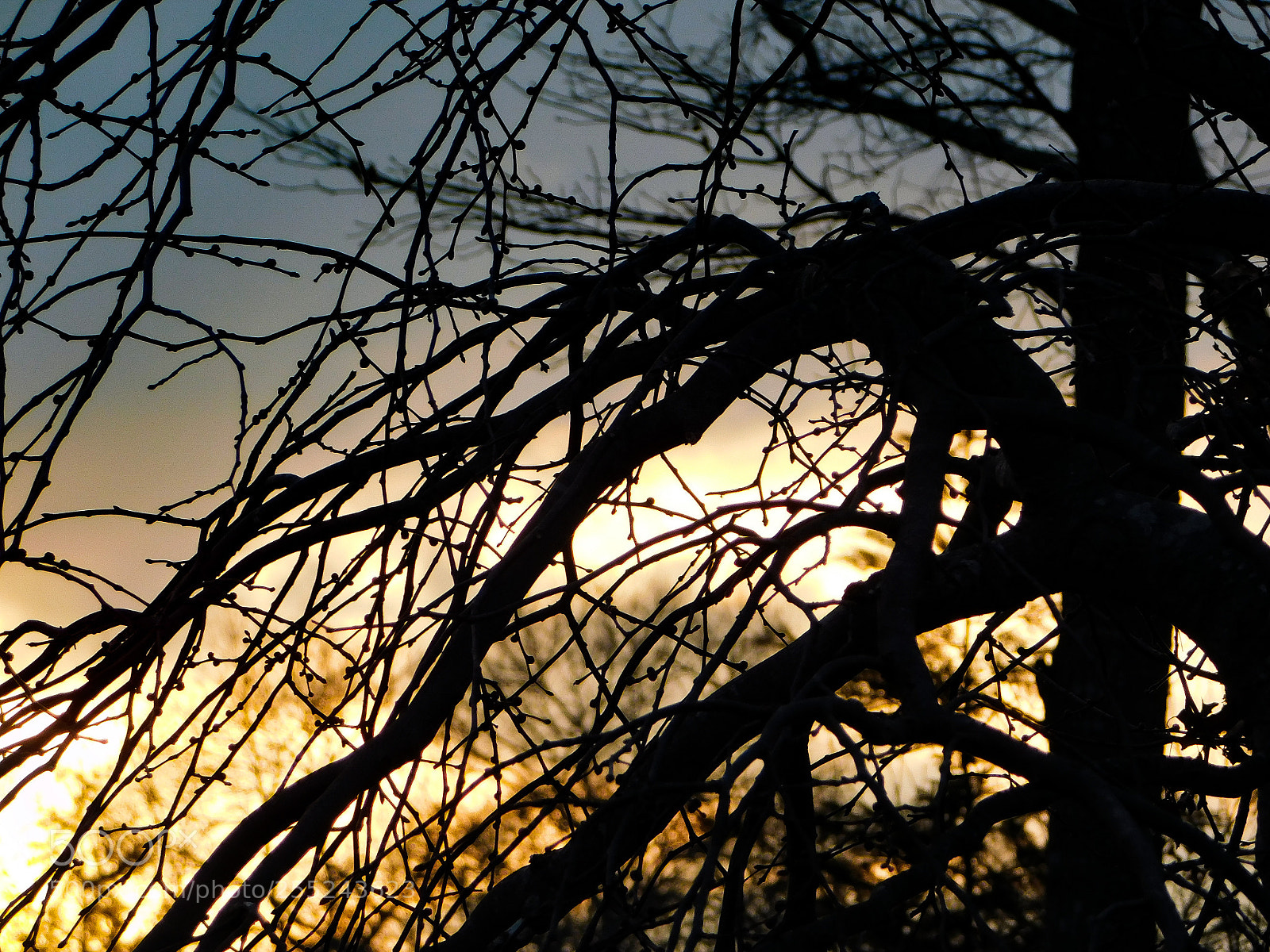 Nikon Coolpix B500 sample photo. Untitled photography