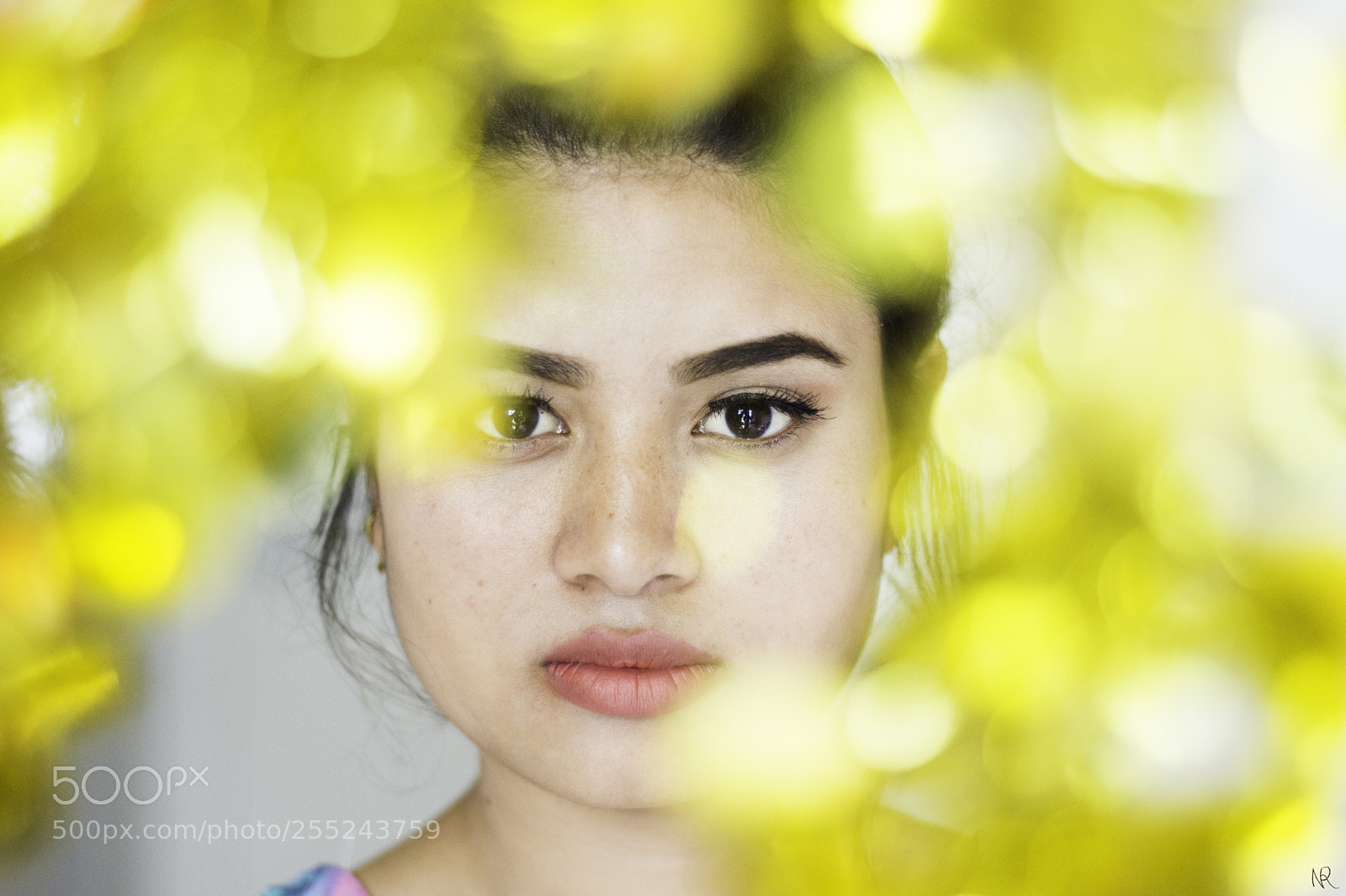 Nikon D7200 sample photo. Through the bokeh photography