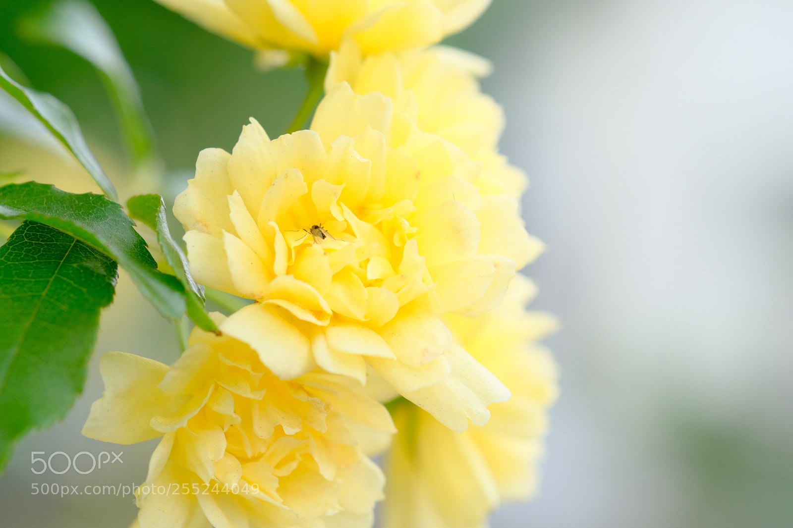 Fujifilm X-T20 sample photo. Untitled photography