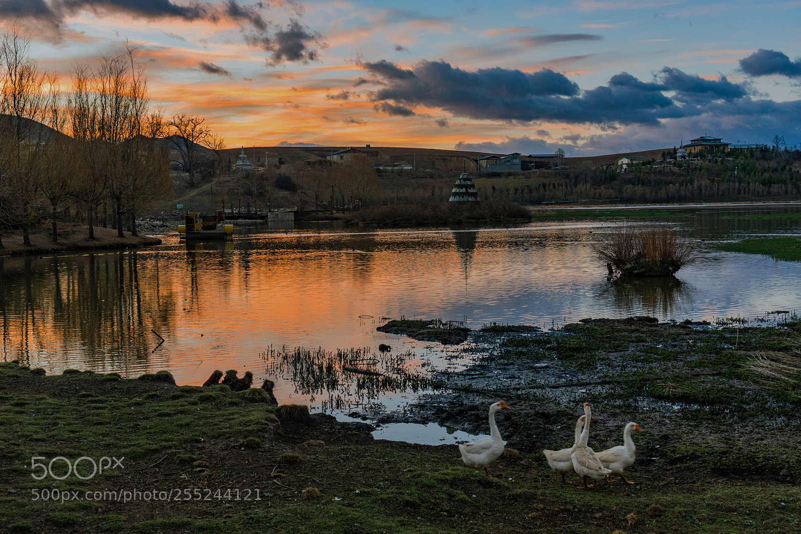 Sony a7 II sample photo. Morning photography