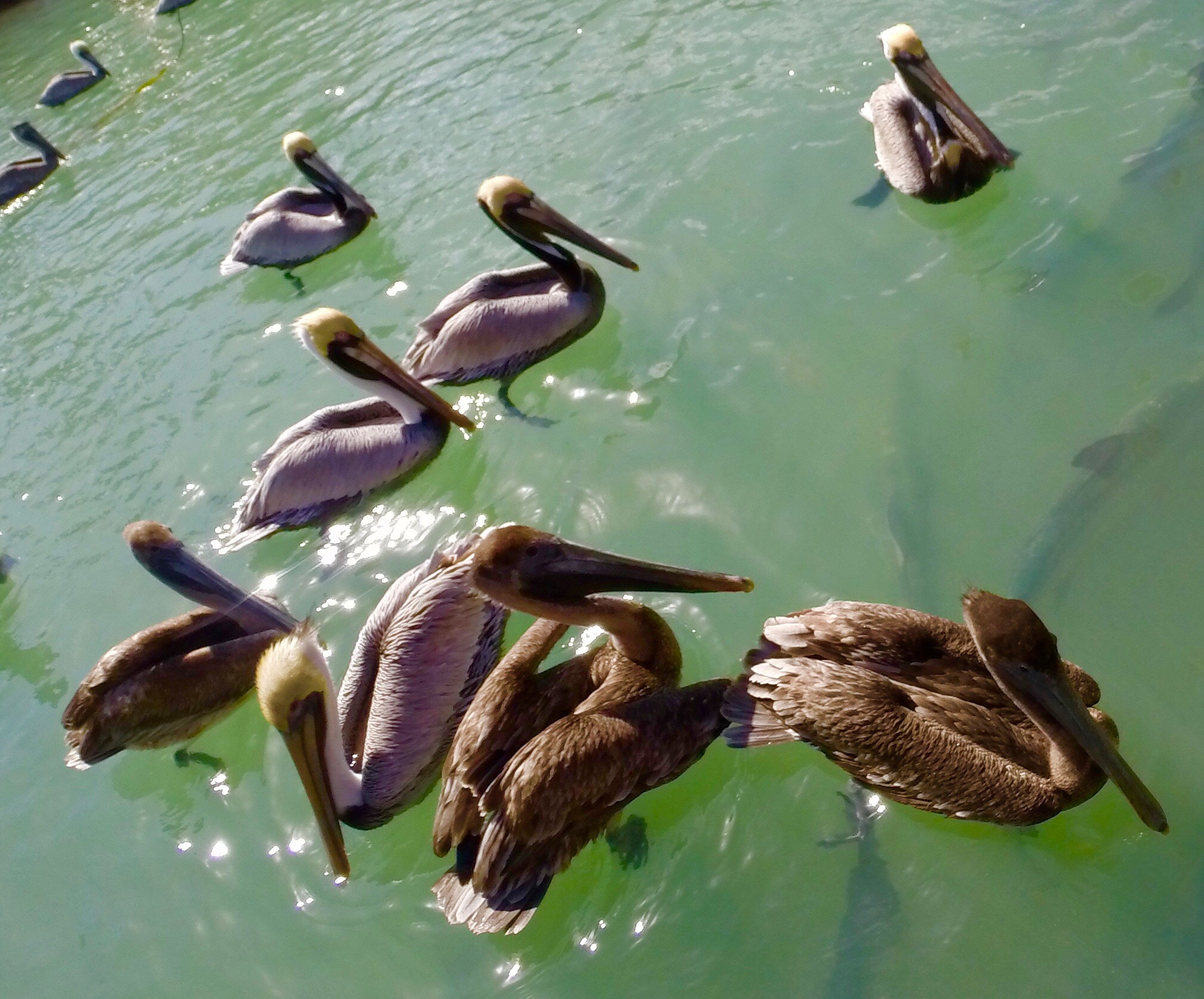 GoPro HERO3+ Black Edition sample photo