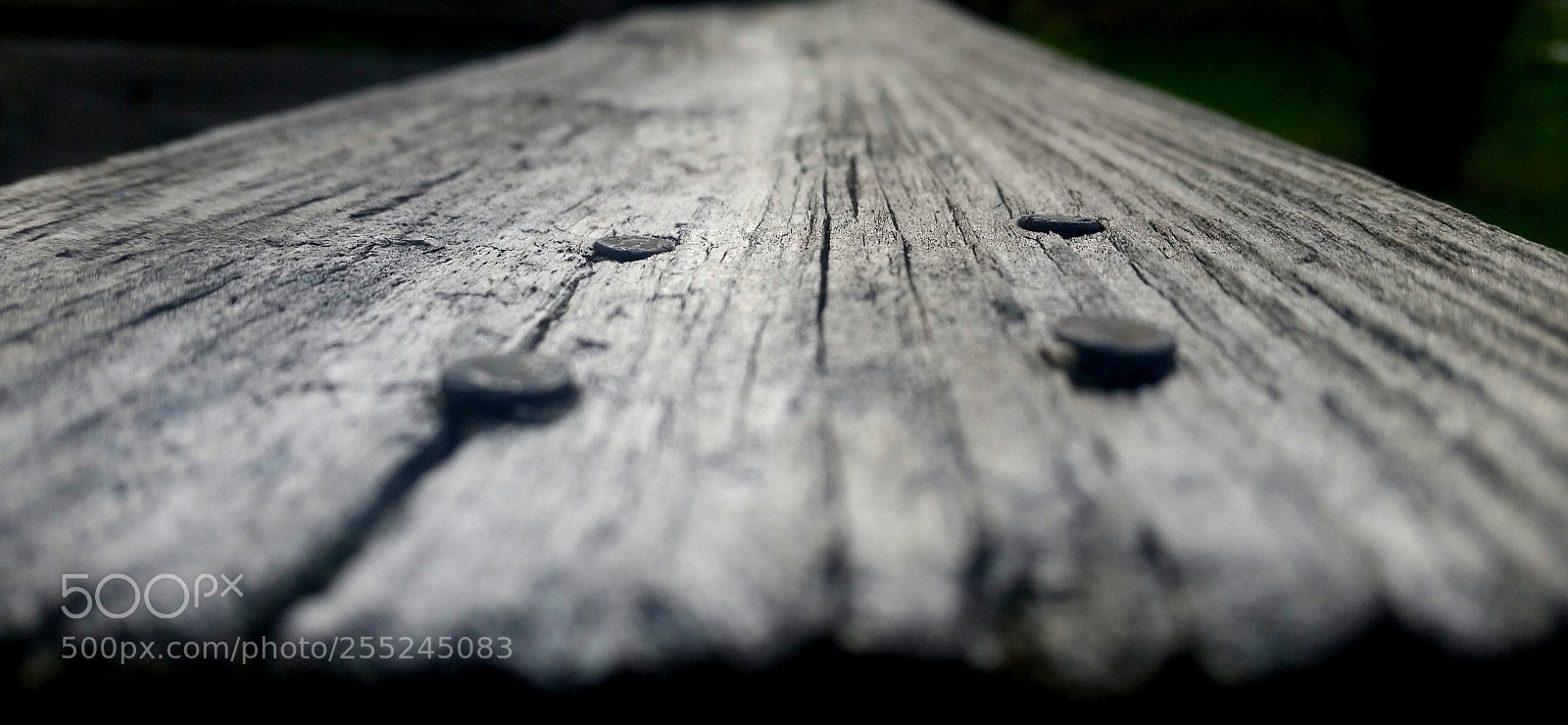 Samsung Galaxy S5 sample photo. Untitled photography