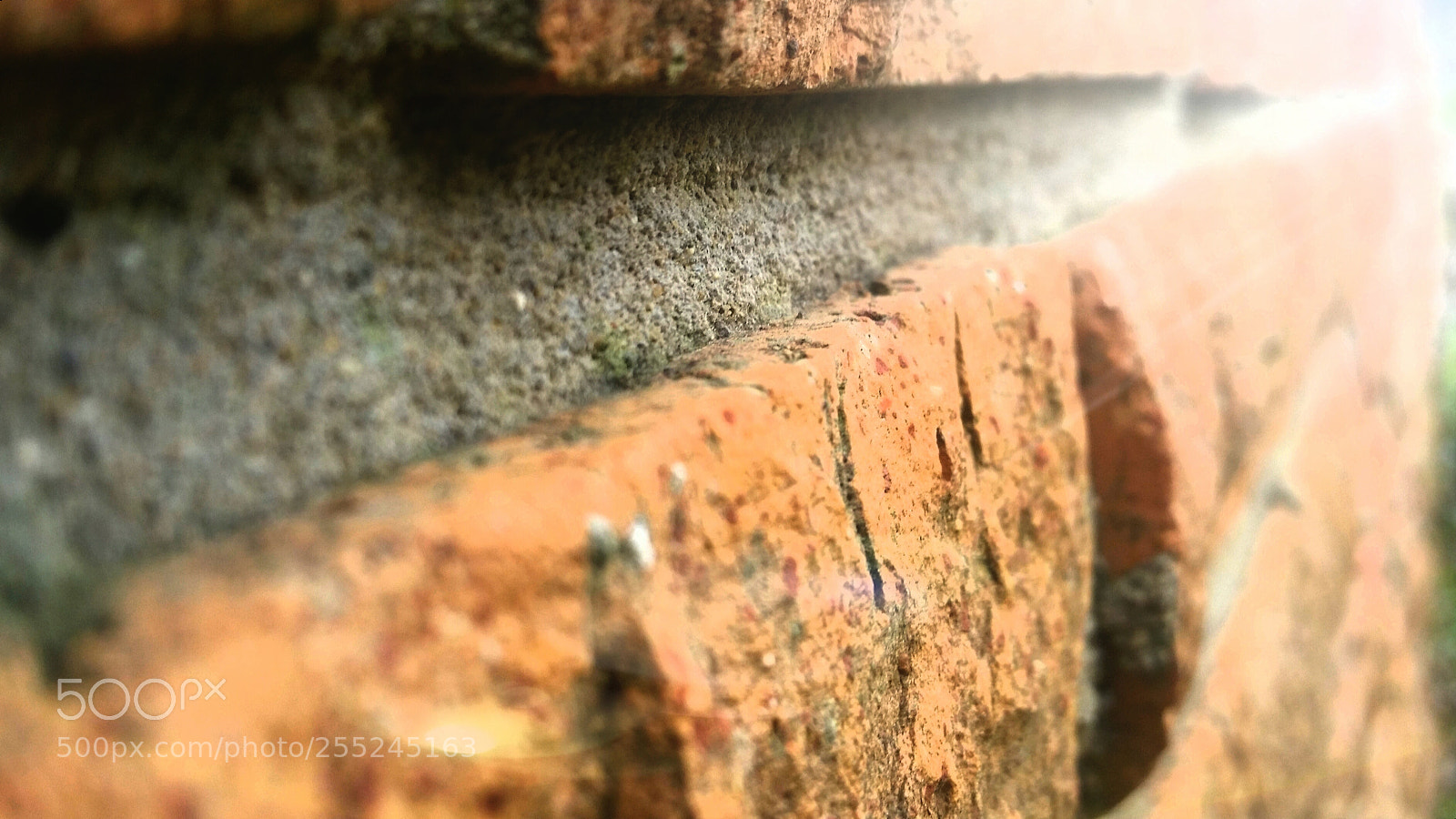Samsung Galaxy S5 sample photo. Untitled photography