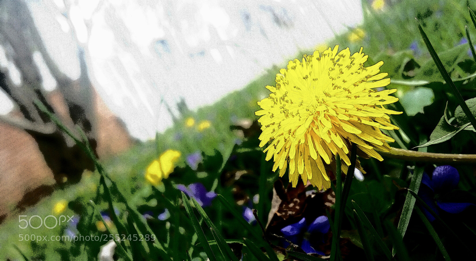 Samsung Galaxy S5 sample photo. Untitled photography