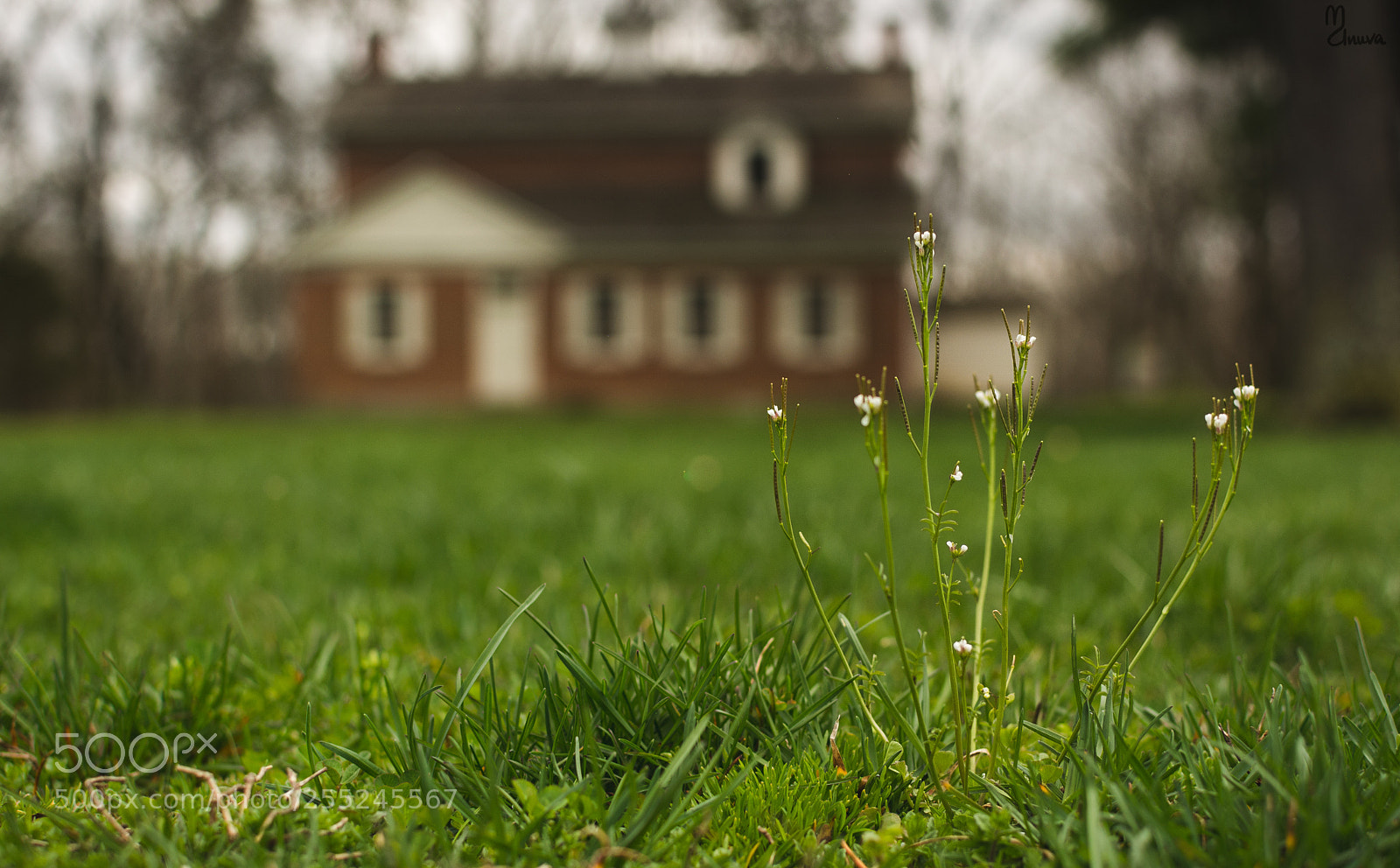 Nikon D5200 sample photo. Untitled photography