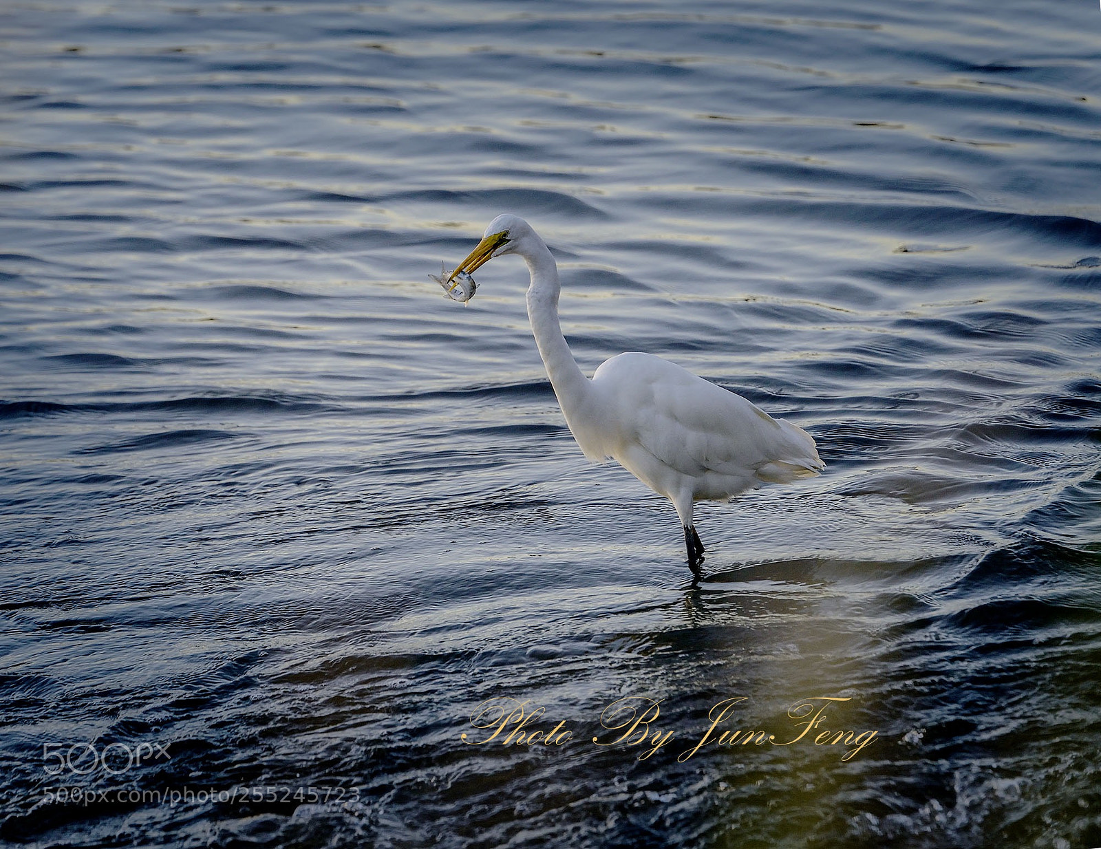 Nikon D800 sample photo. Untitled photography