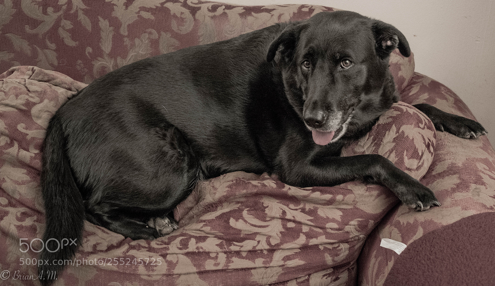 Nikon D5300 sample photo. Untitled photography