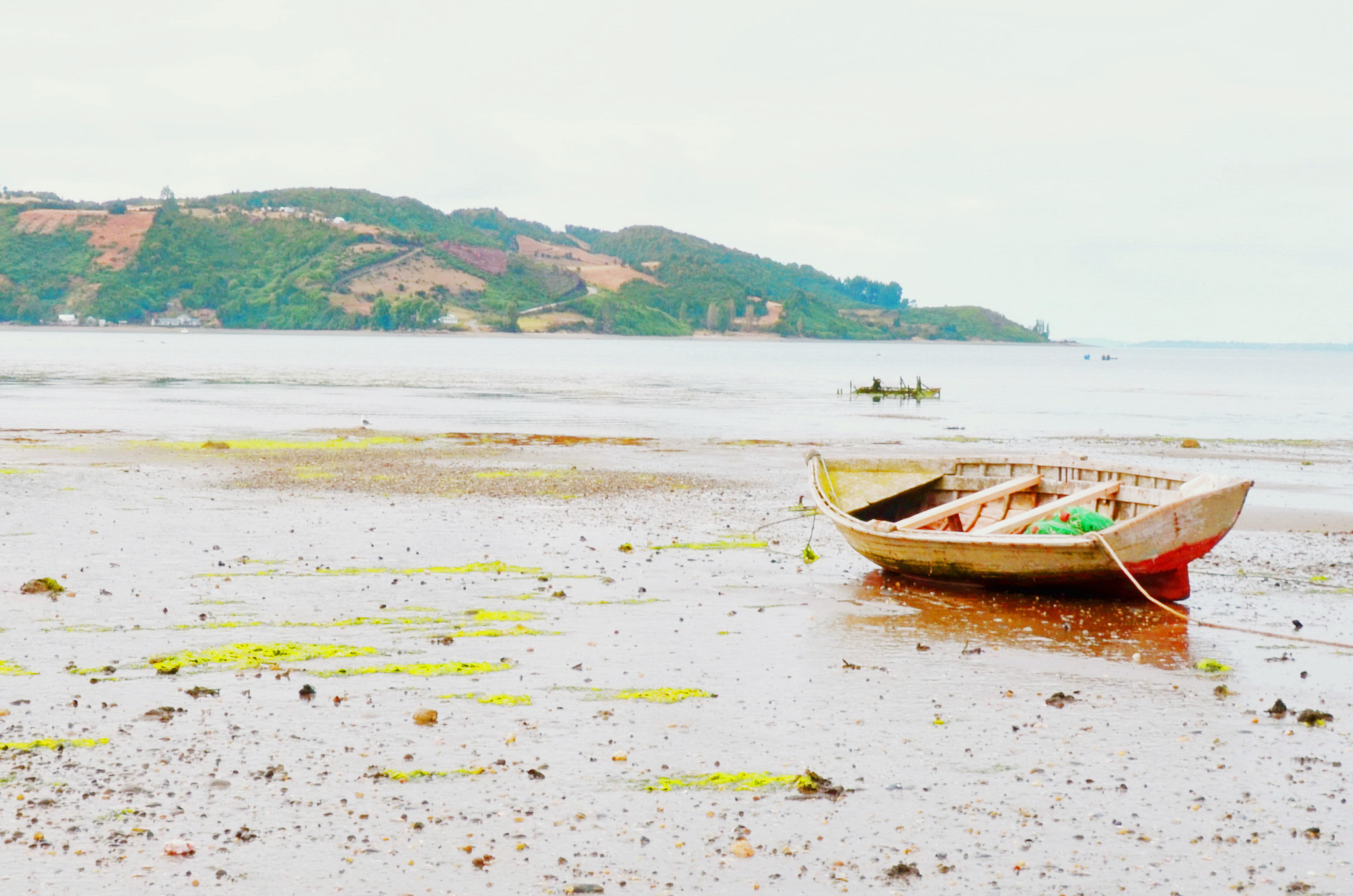 Nikon D5100 sample photo. Low tide photography
