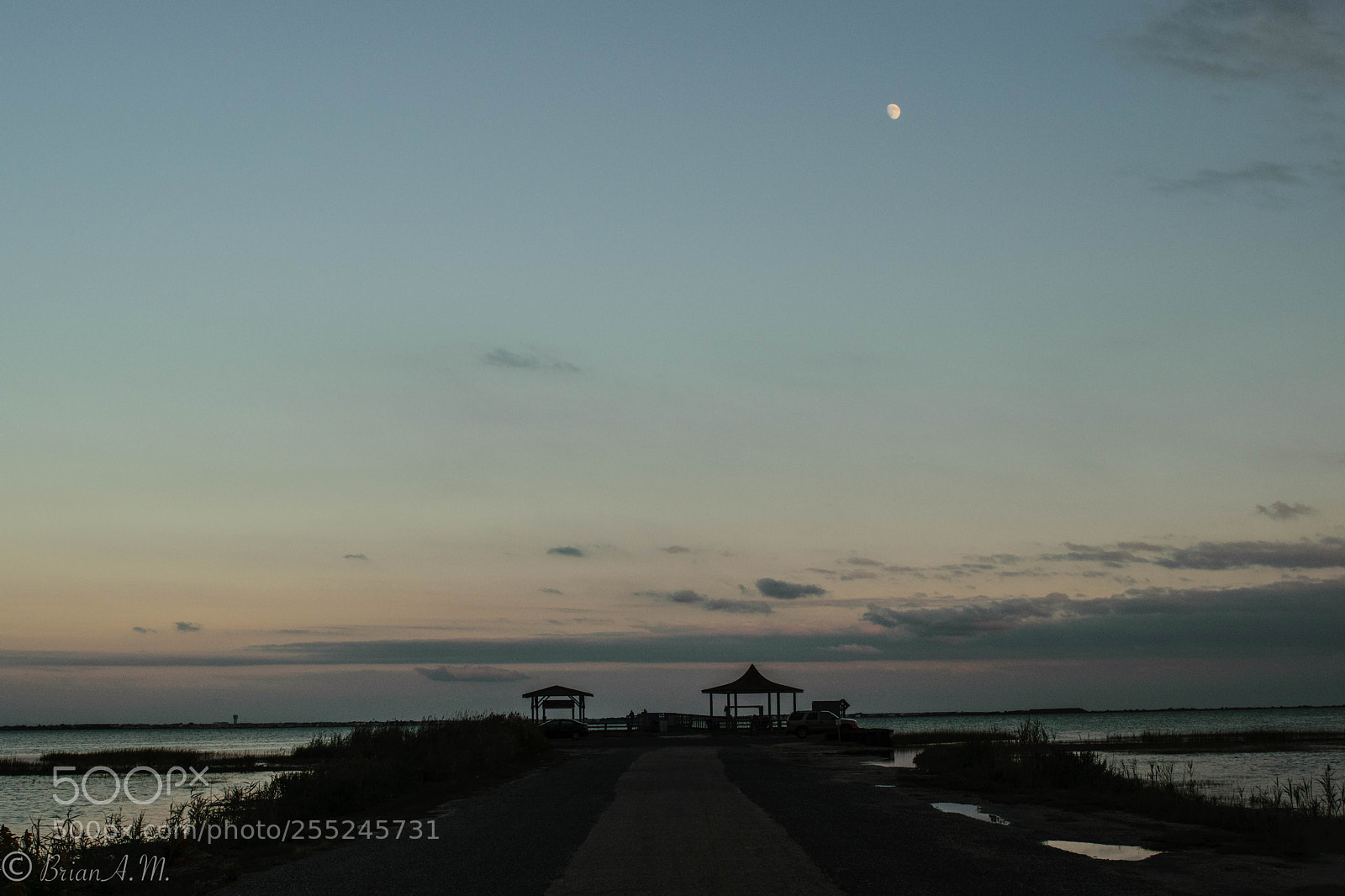 Nikon D5300 sample photo. Untitled photography