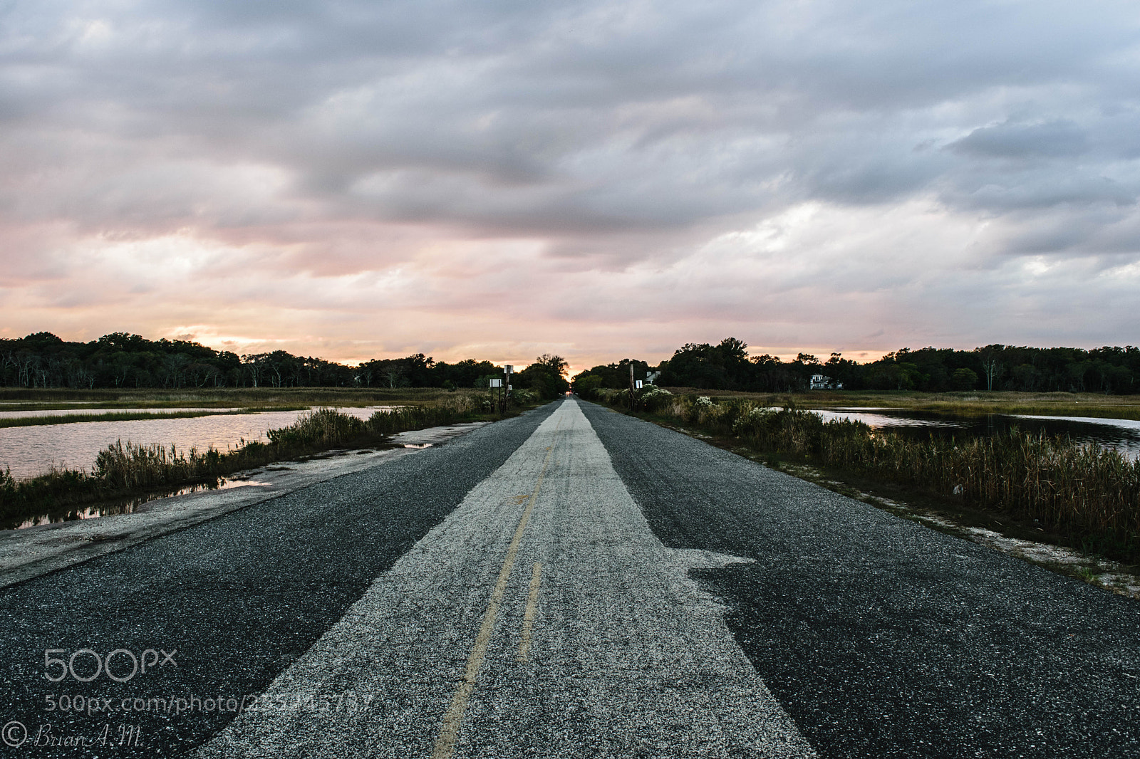 Nikon D5300 sample photo. Untitled photography