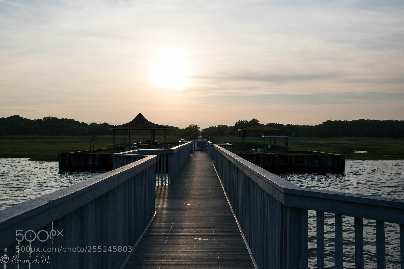 Nikon D5300 sample photo. Untitled photography