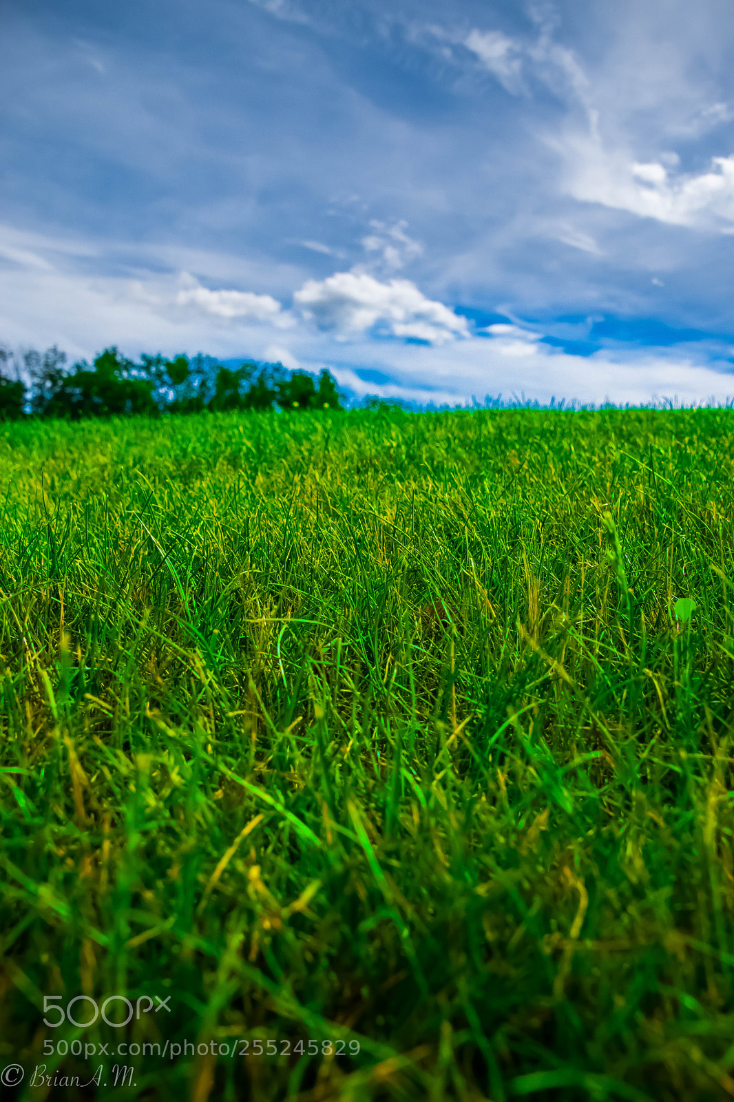 Nikon D5300 sample photo. Untitled photography