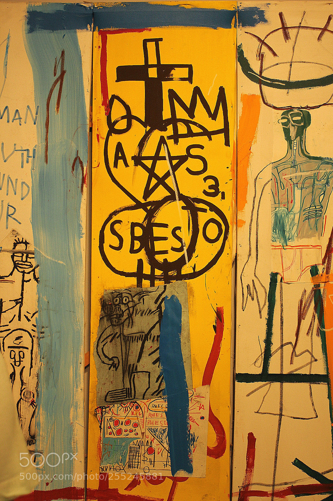 Canon EF 28-80mm f/3.5-5.6 sample photo. Basquiat photography