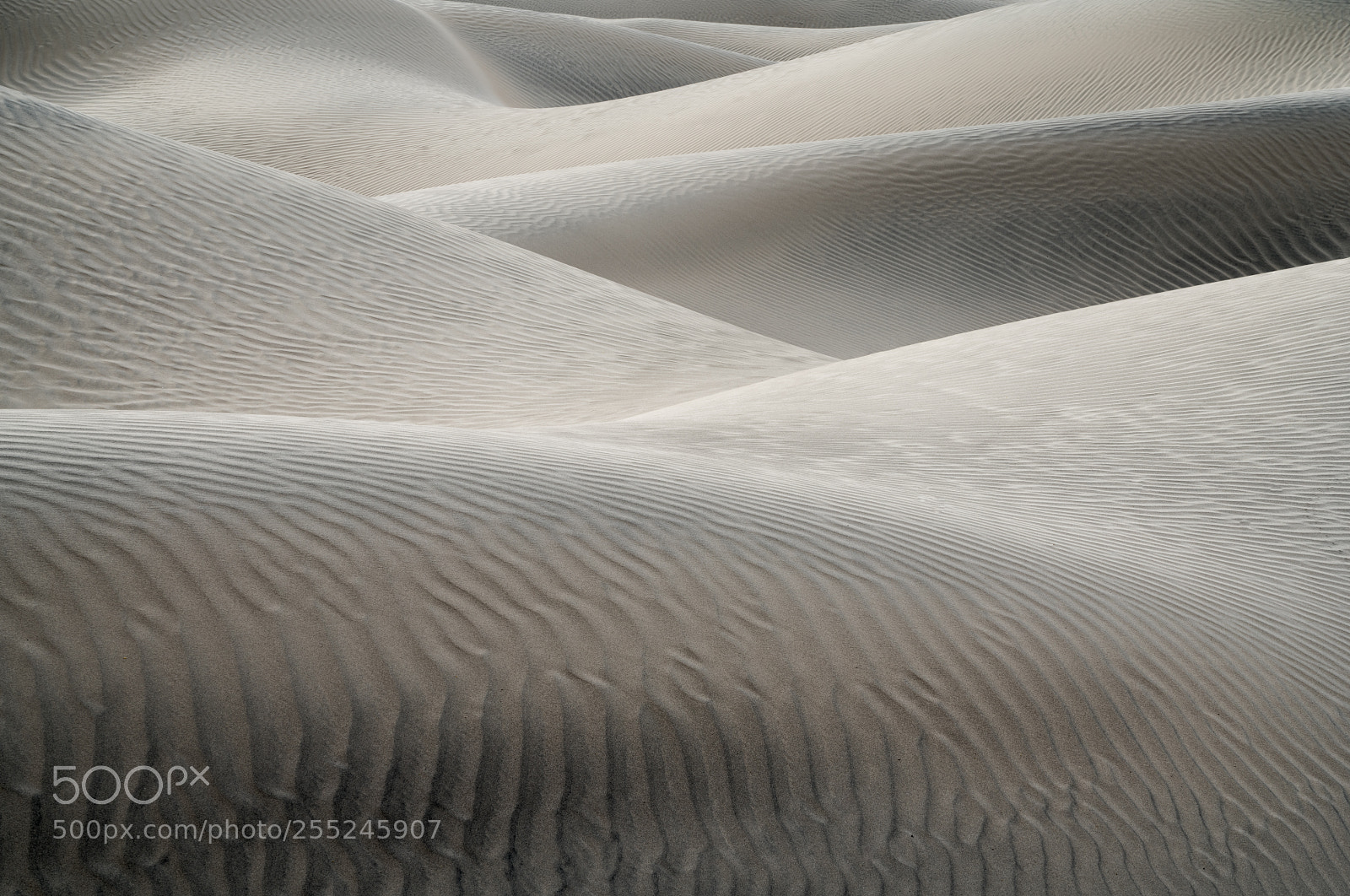 Sony a7R III sample photo. An ocean of ripples photography