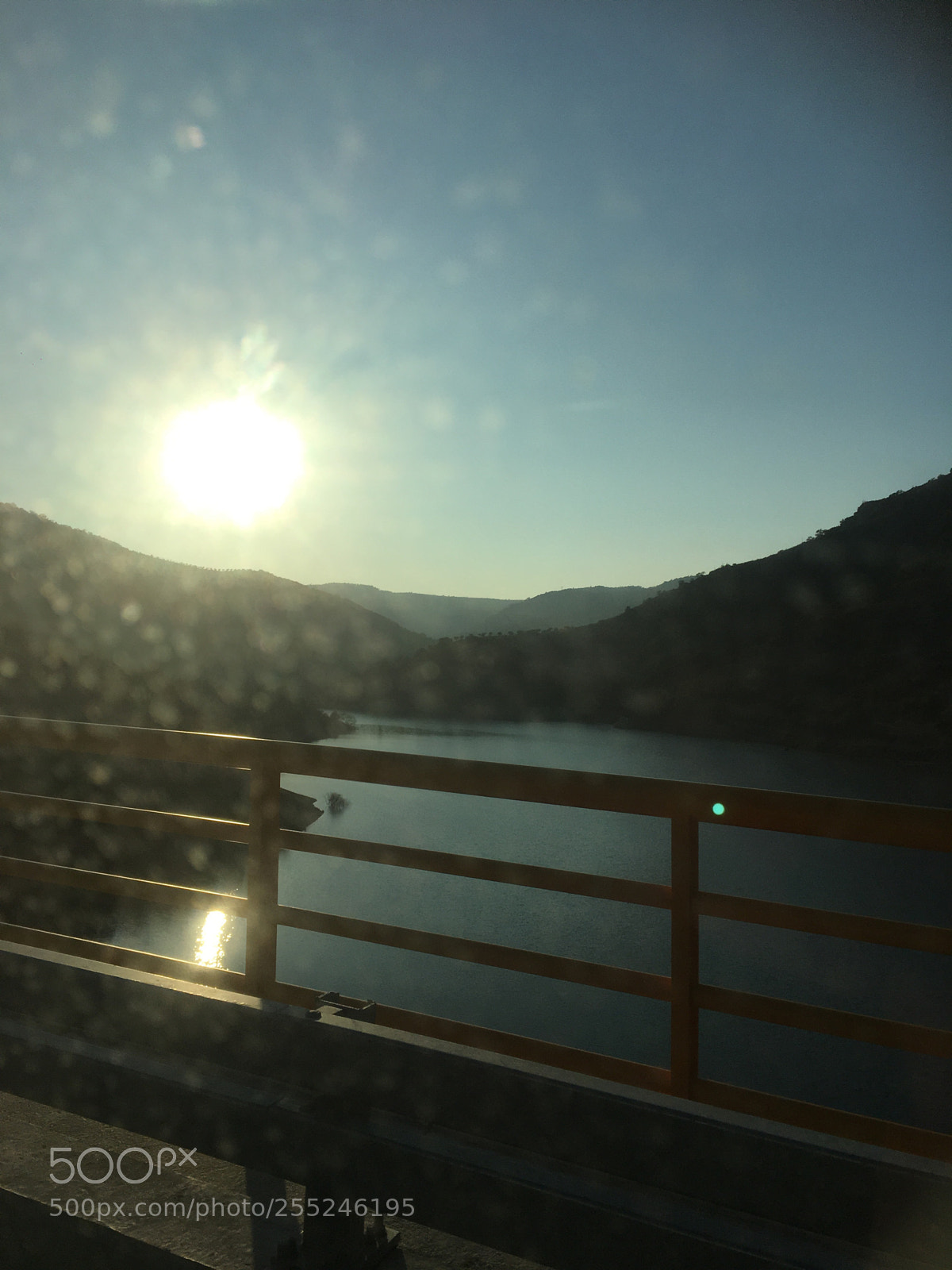 Apple iPhone 6s sample photo. Untitled photography