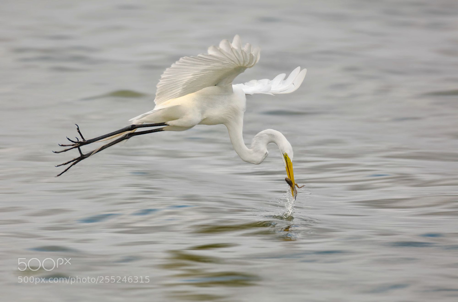 Canon EOS 5DS R sample photo. Fishing photography