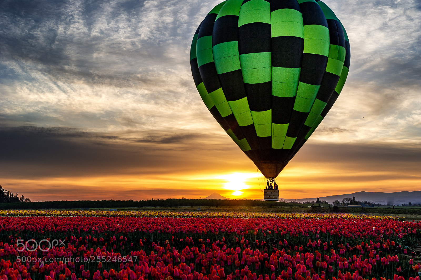 Nikon D3S sample photo. Sunrise launch photography