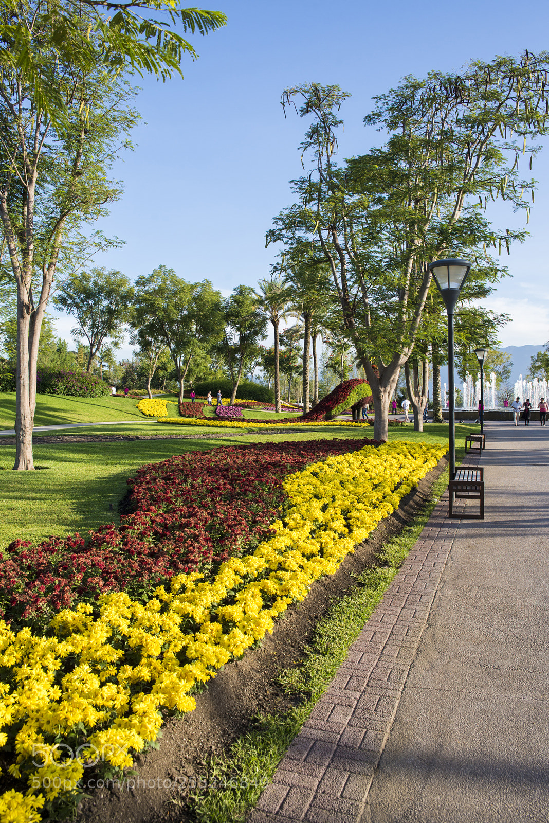 Nikon D600 sample photo. Jardines de méxico photography