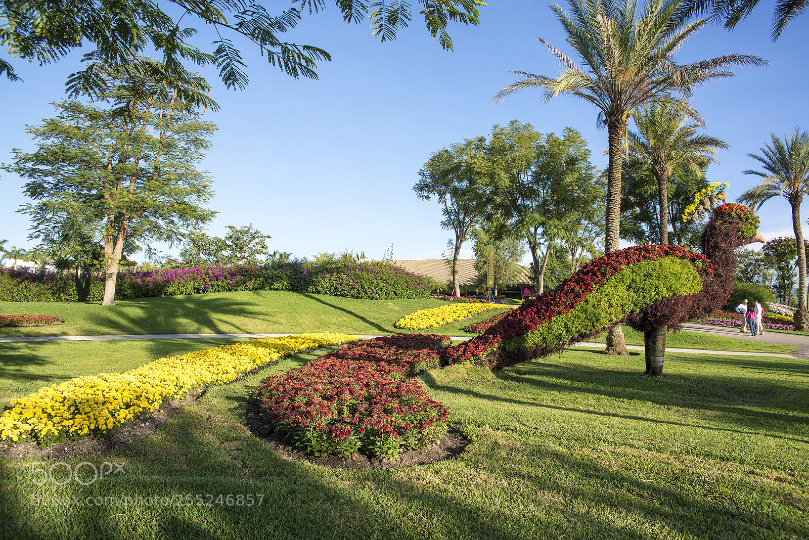 Nikon D600 sample photo. Jardines de méxico photography
