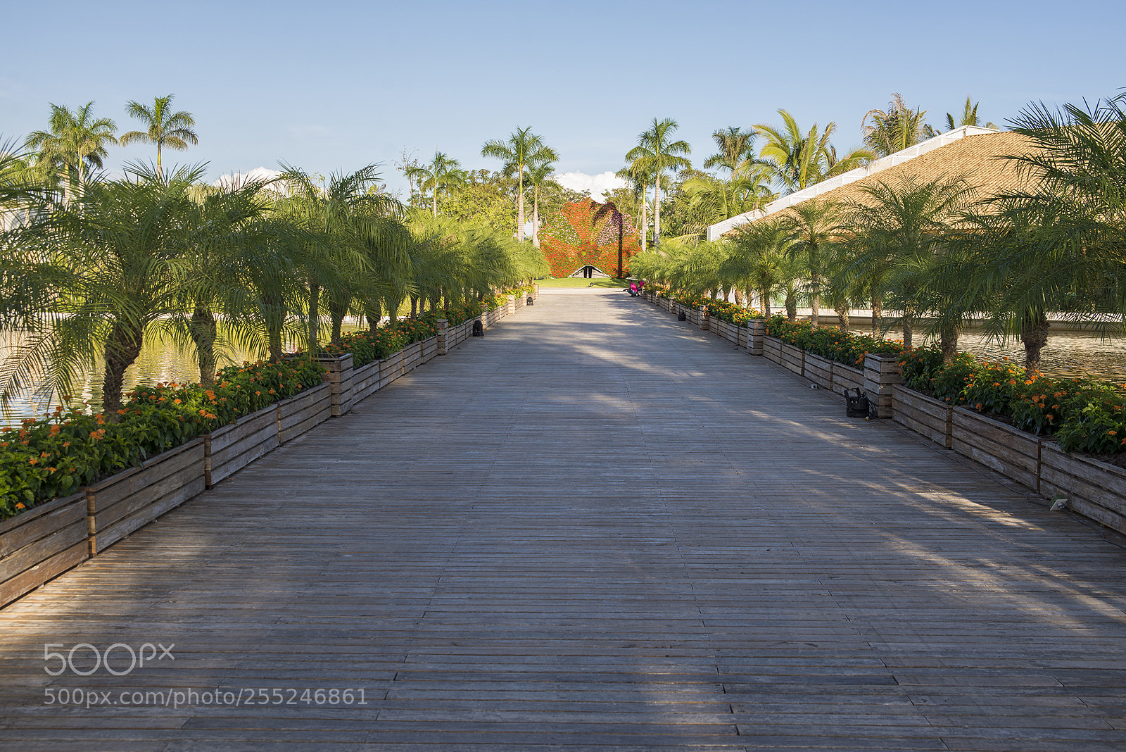 Nikon D600 sample photo. Jardines de méxico photography
