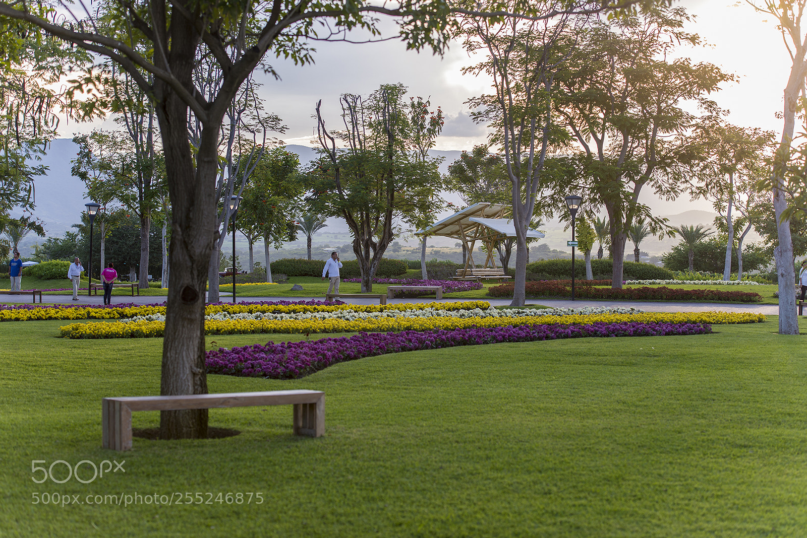 Nikon D600 sample photo. Jardines de méxico photography