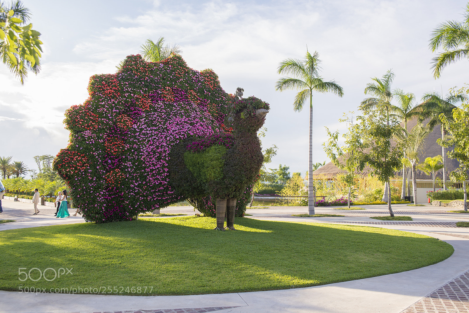 Nikon D600 sample photo. Jardines de méxico photography